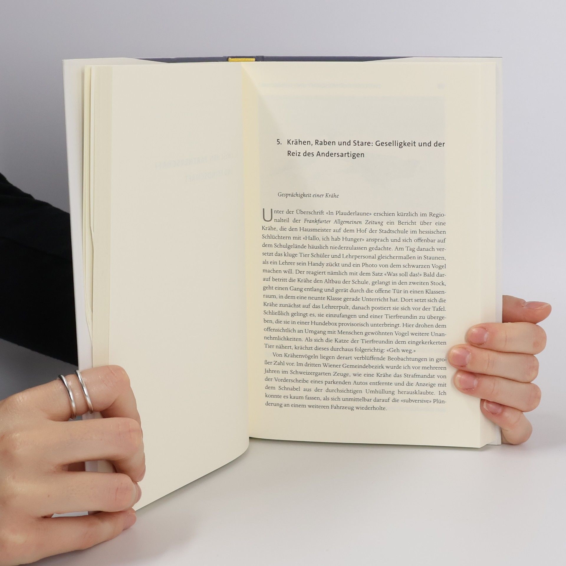 Walter A. Sontag Das wilde Leben der Vögel