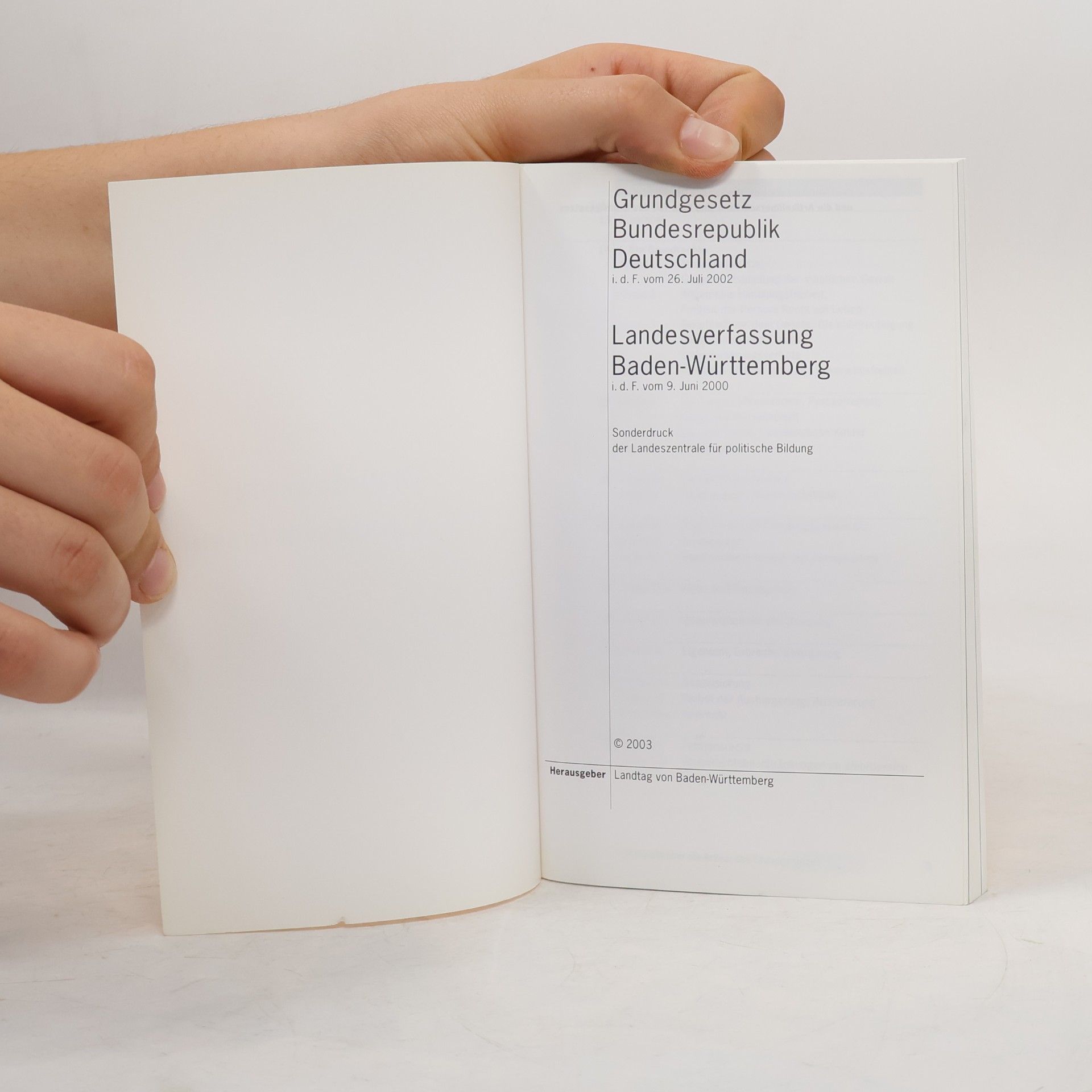 Kolektiv autorů Grundgesetz Landesverfassung