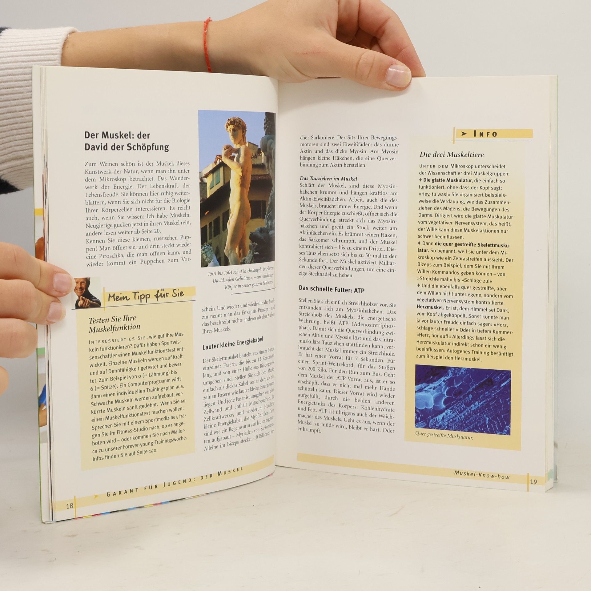 Ulrich Strunz Forever young - das Muskelbuch