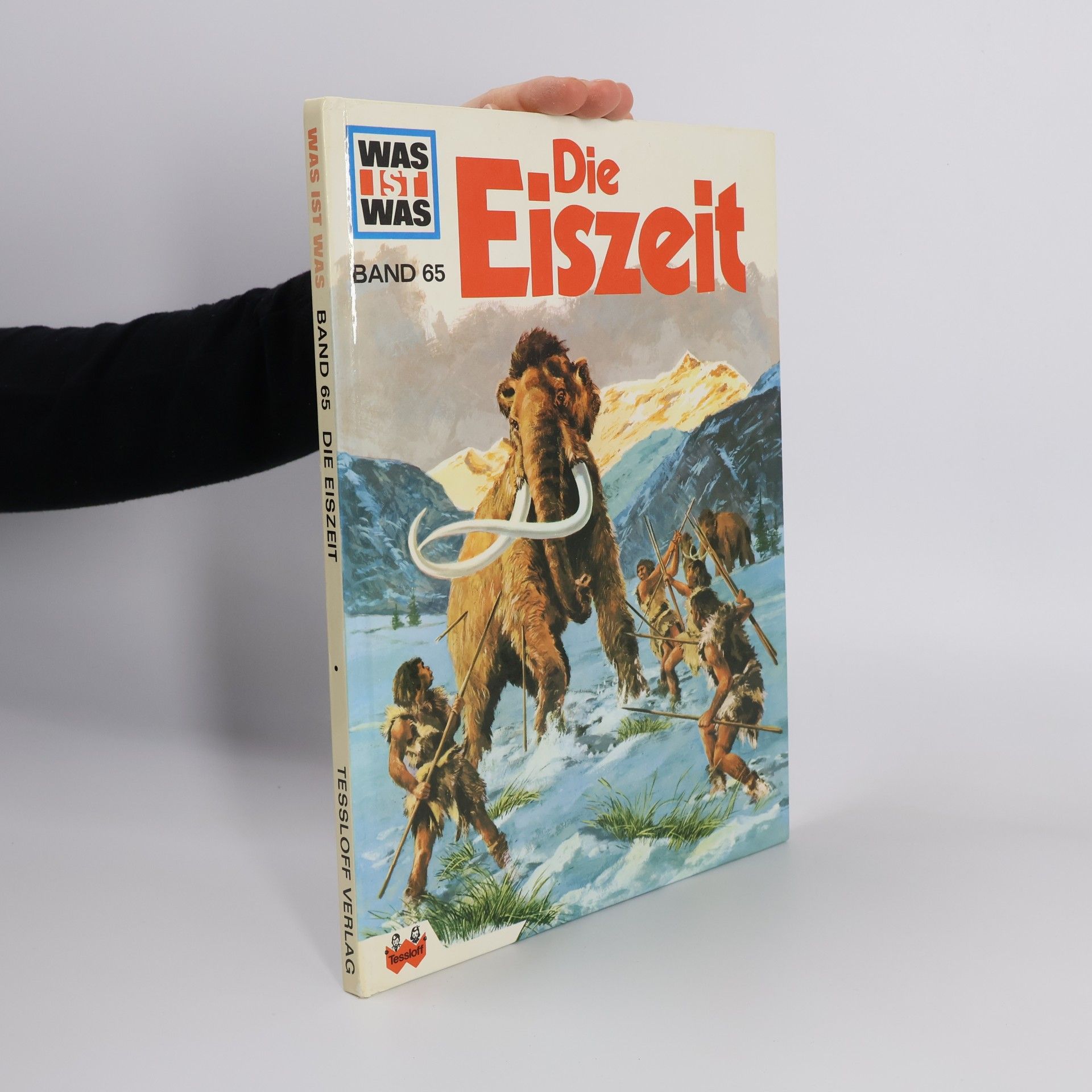Die Eiszeit