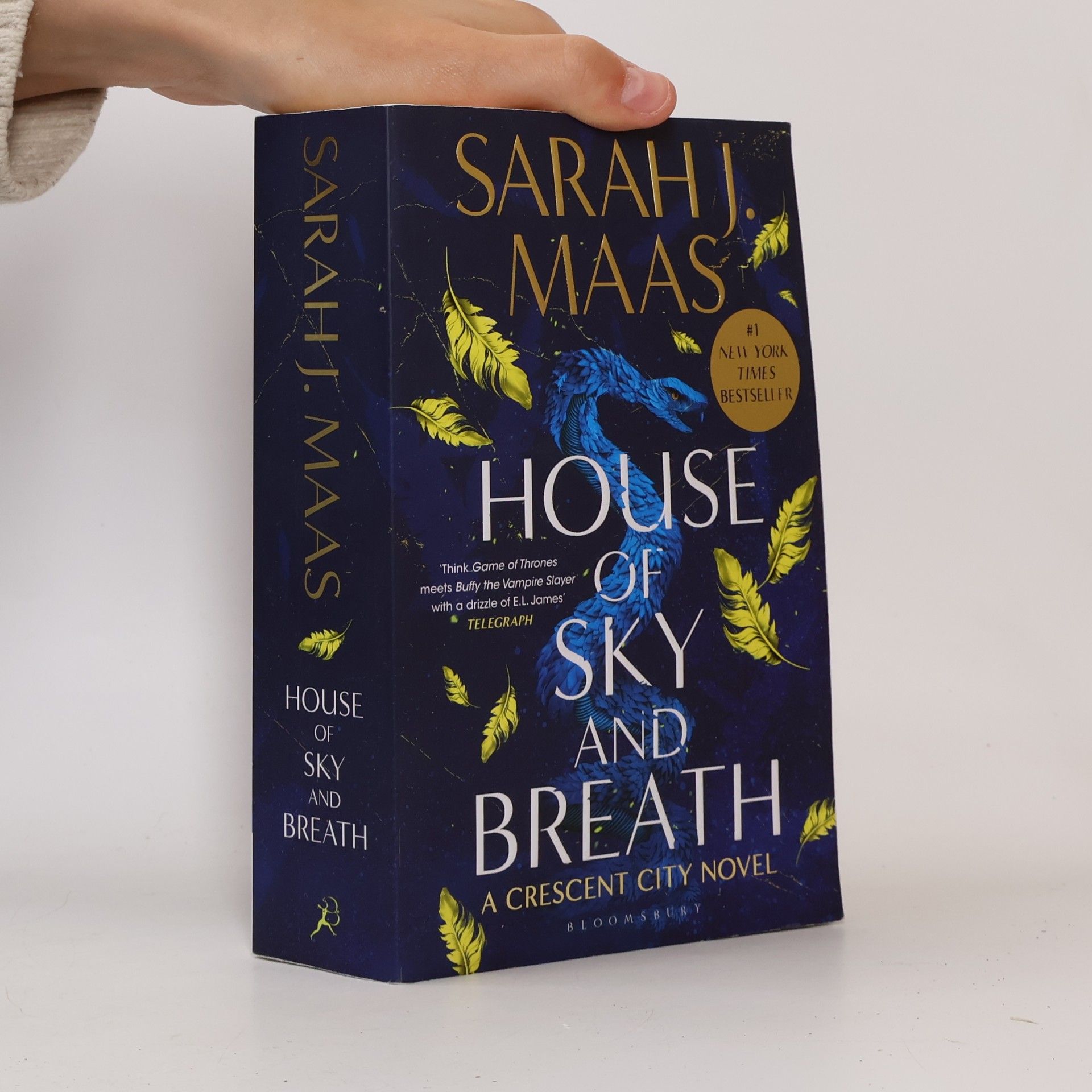 Sarah J. Maas House of Sky and Breath