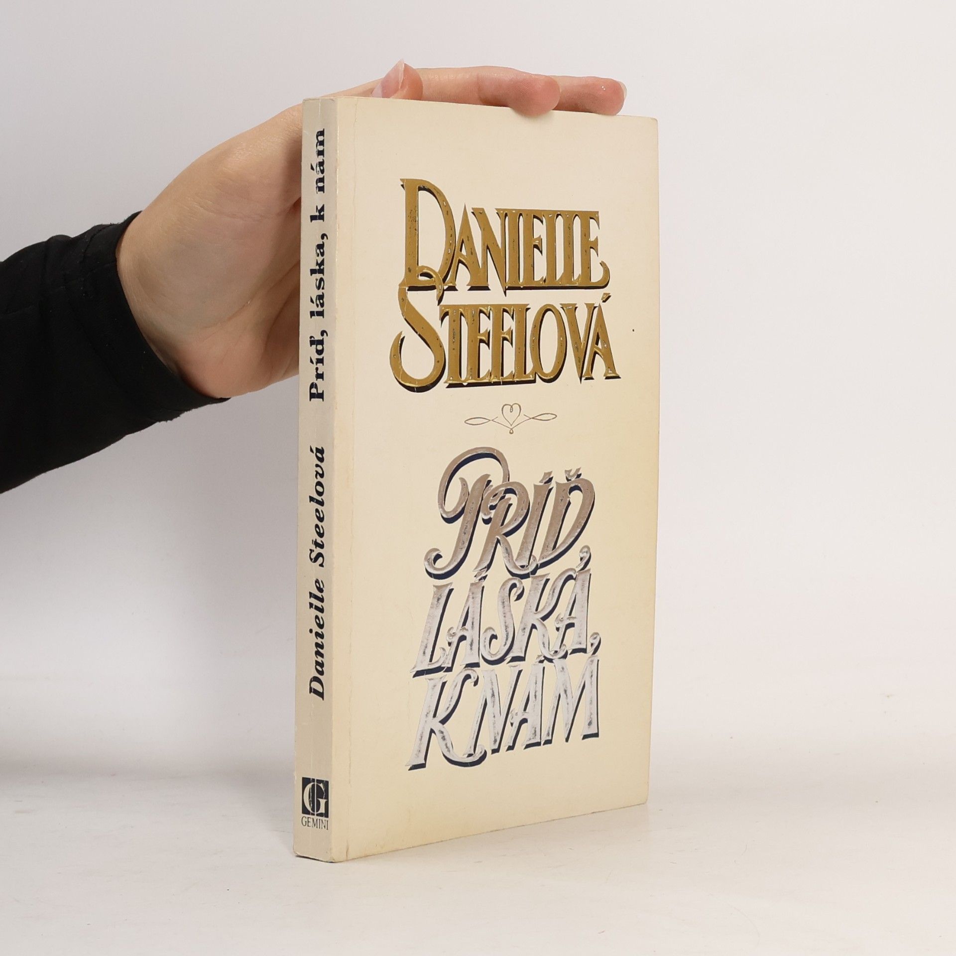 Danielle Steel Príď, láska k nám