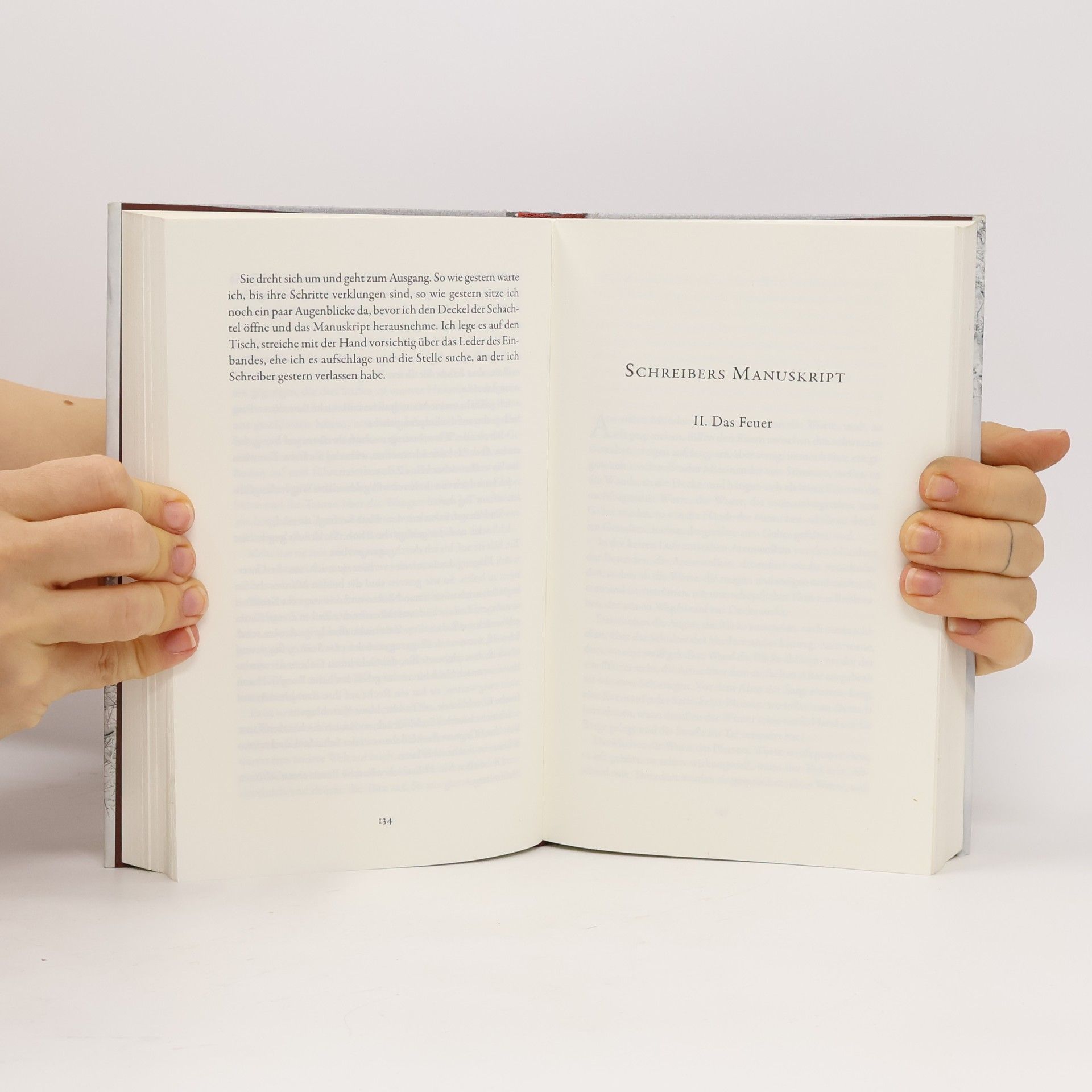 Gerhard Jäger Der Schnee, das Feuer, die Schuld und der Tod