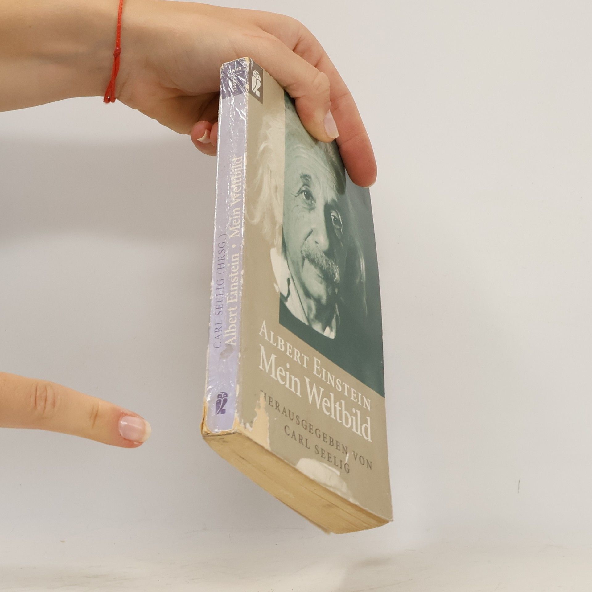 Albert Einstein Mein Weltbild