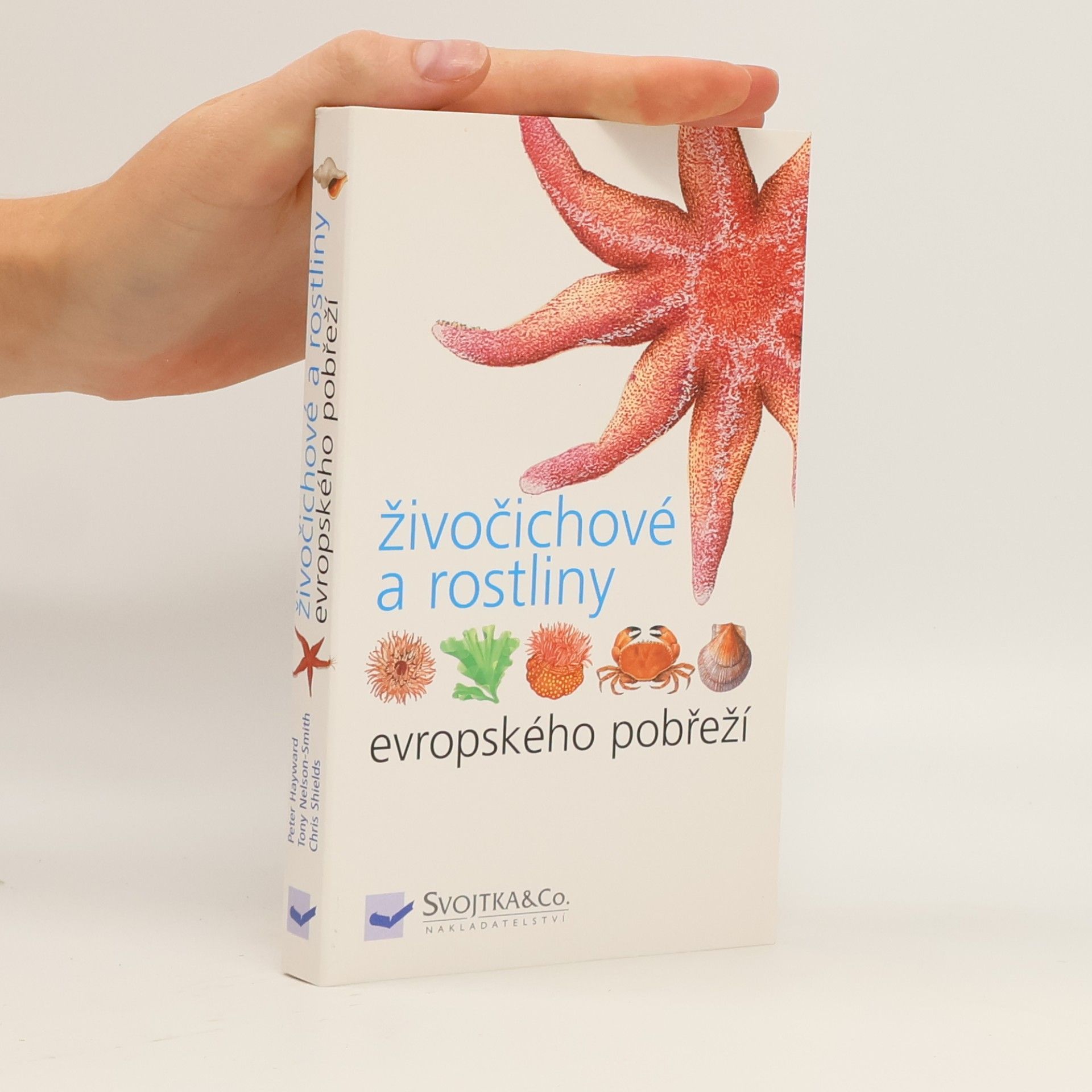 Peter Hayward Živočichové a rostliny evropského pobřeží