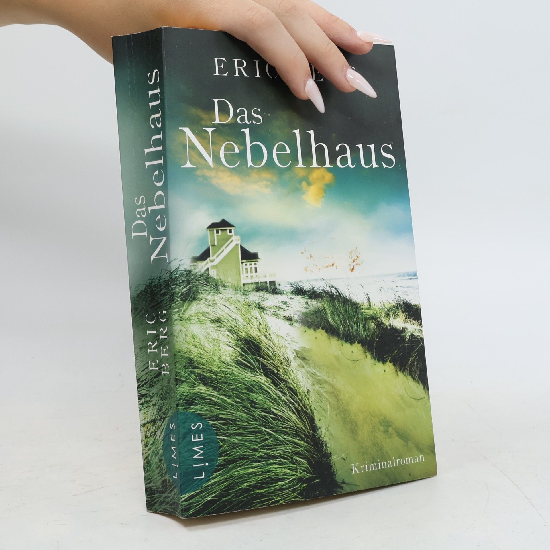 Eric Berg Das Nebelhaus