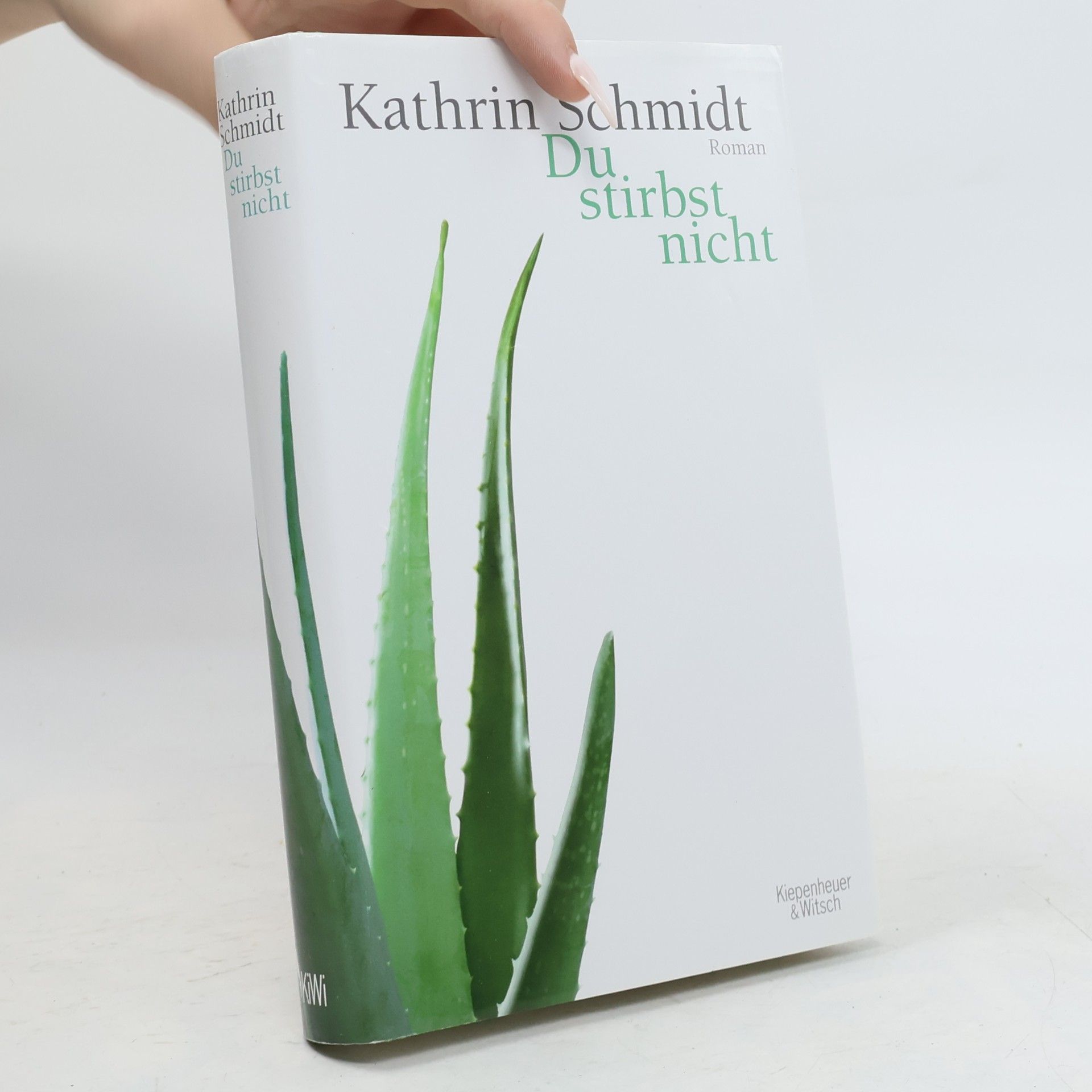 Kathrin Schmidt Du stirbst nicht