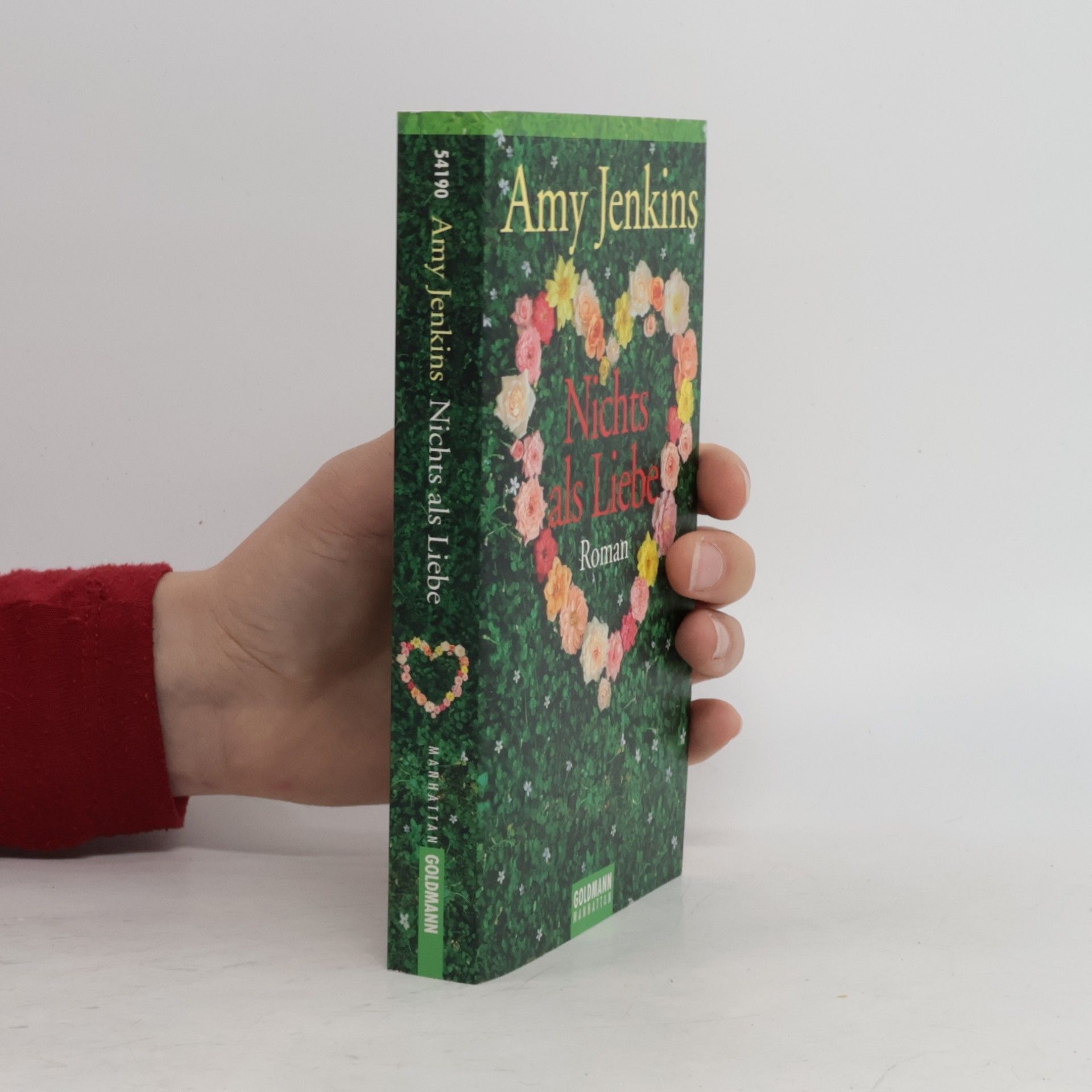 Amy Jenkins Nichts als Liebe