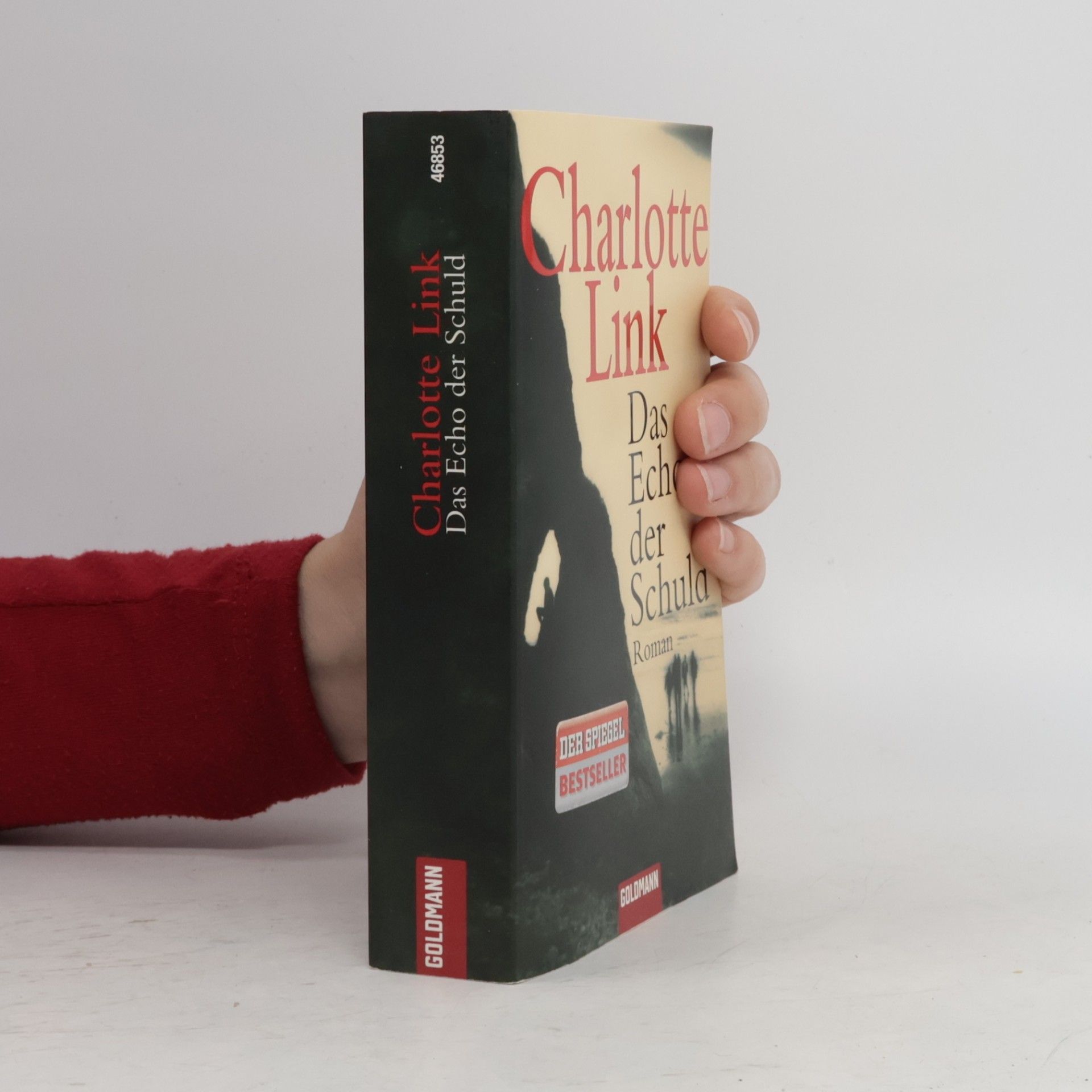 Charlotte Link Das Echo der Schuld
