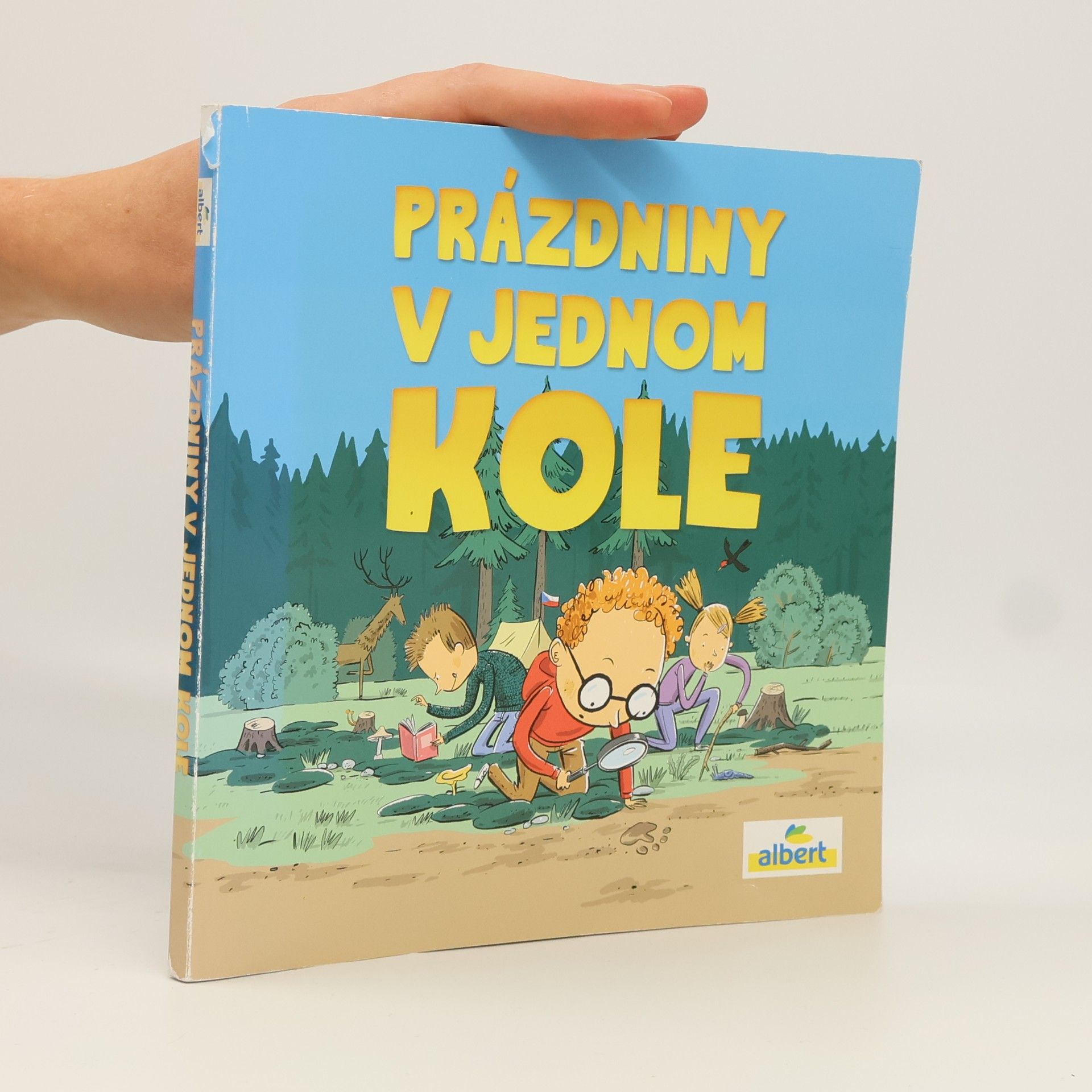 Kolektiv autorů Prázdniny v jednom kole