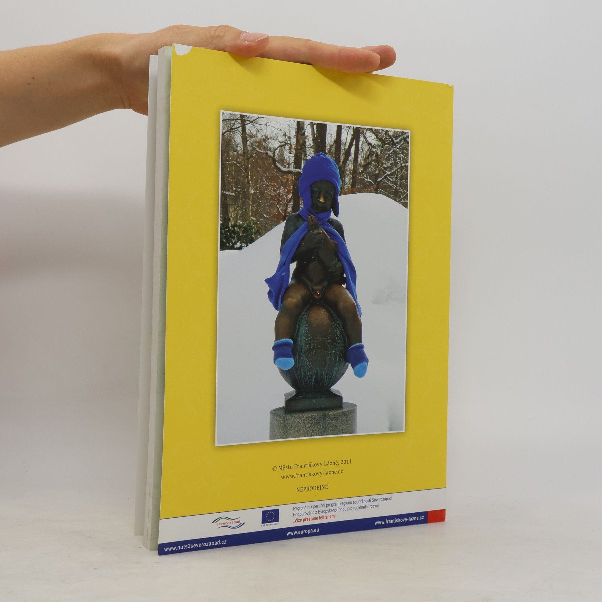 Collectif d'auteurs Františkovy lázně