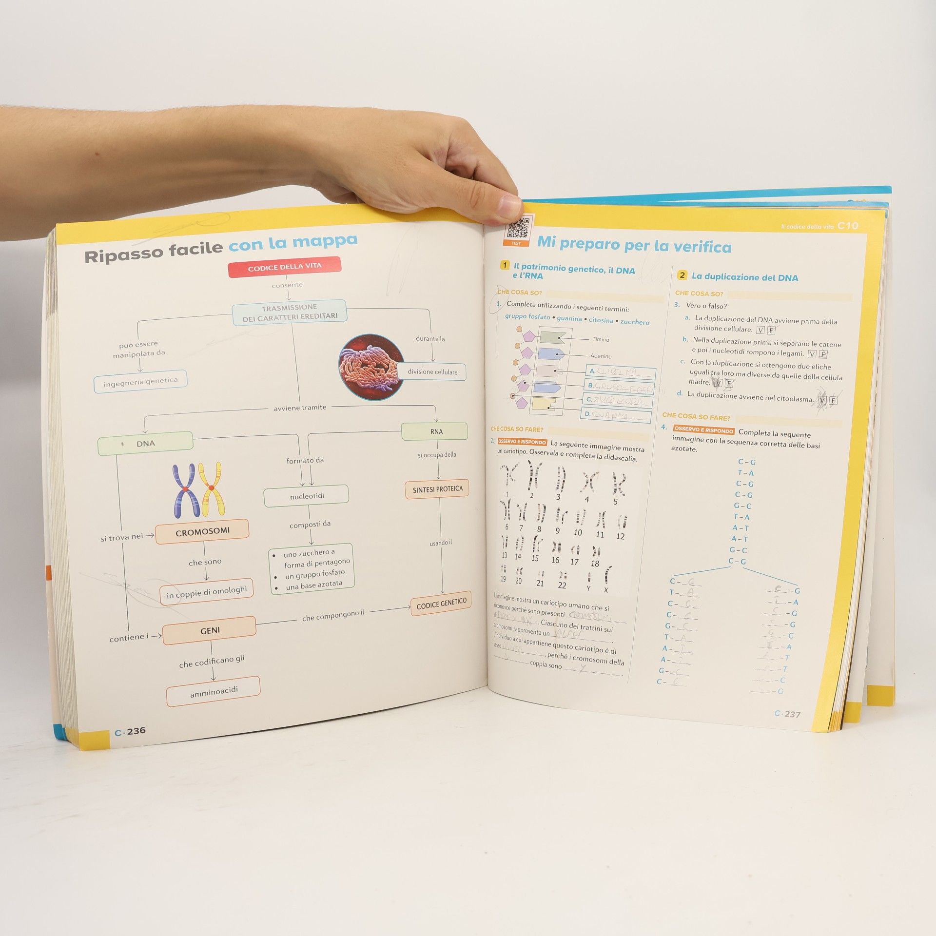 Lea Alfieri Discovery. Le scienze in classe