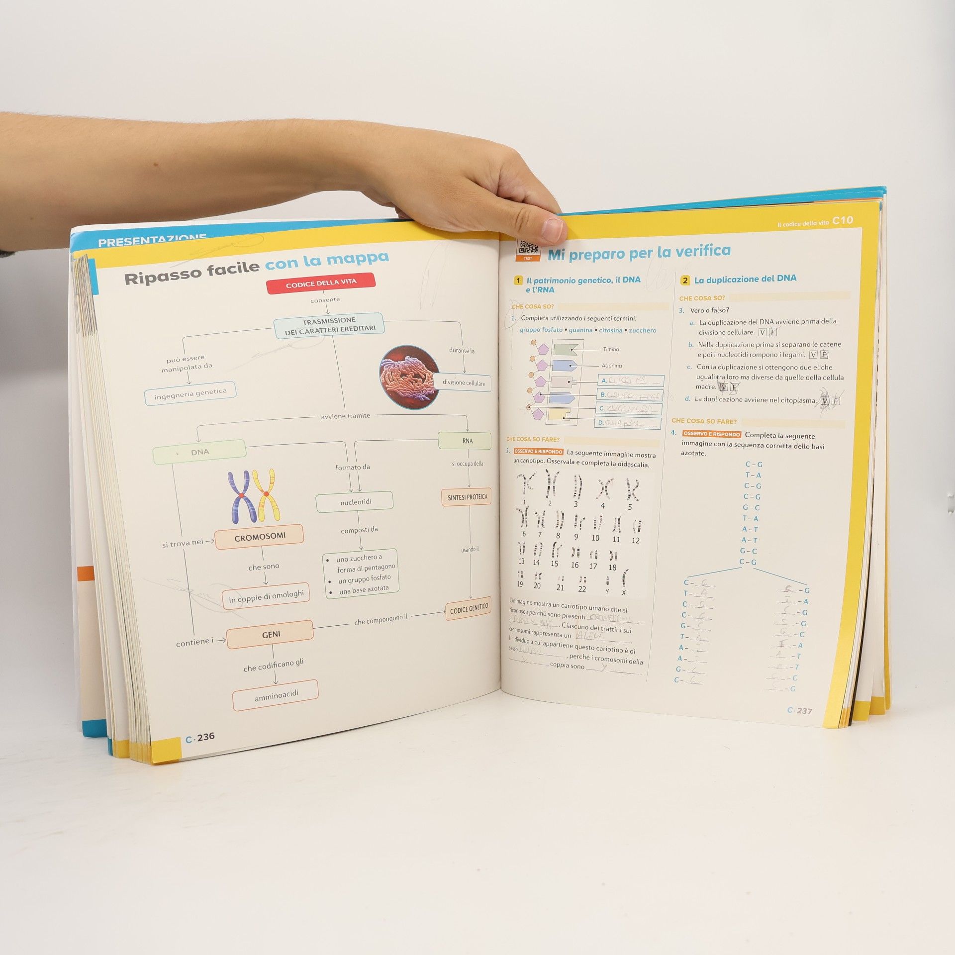 Lea Alfieri Discovery. Le scienze in classe