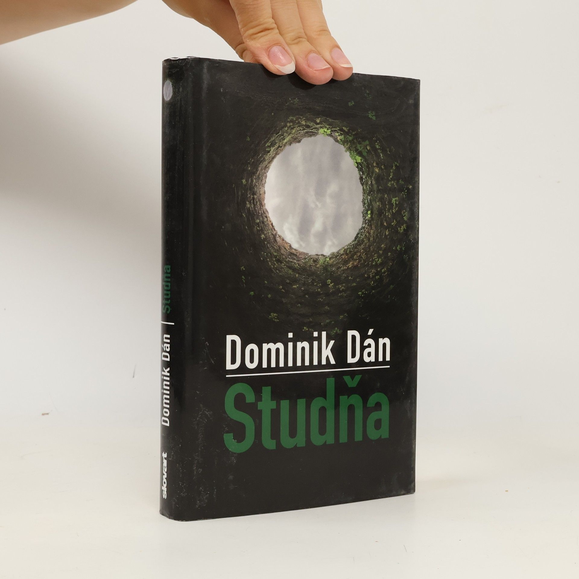 Dominik Dán Studňa