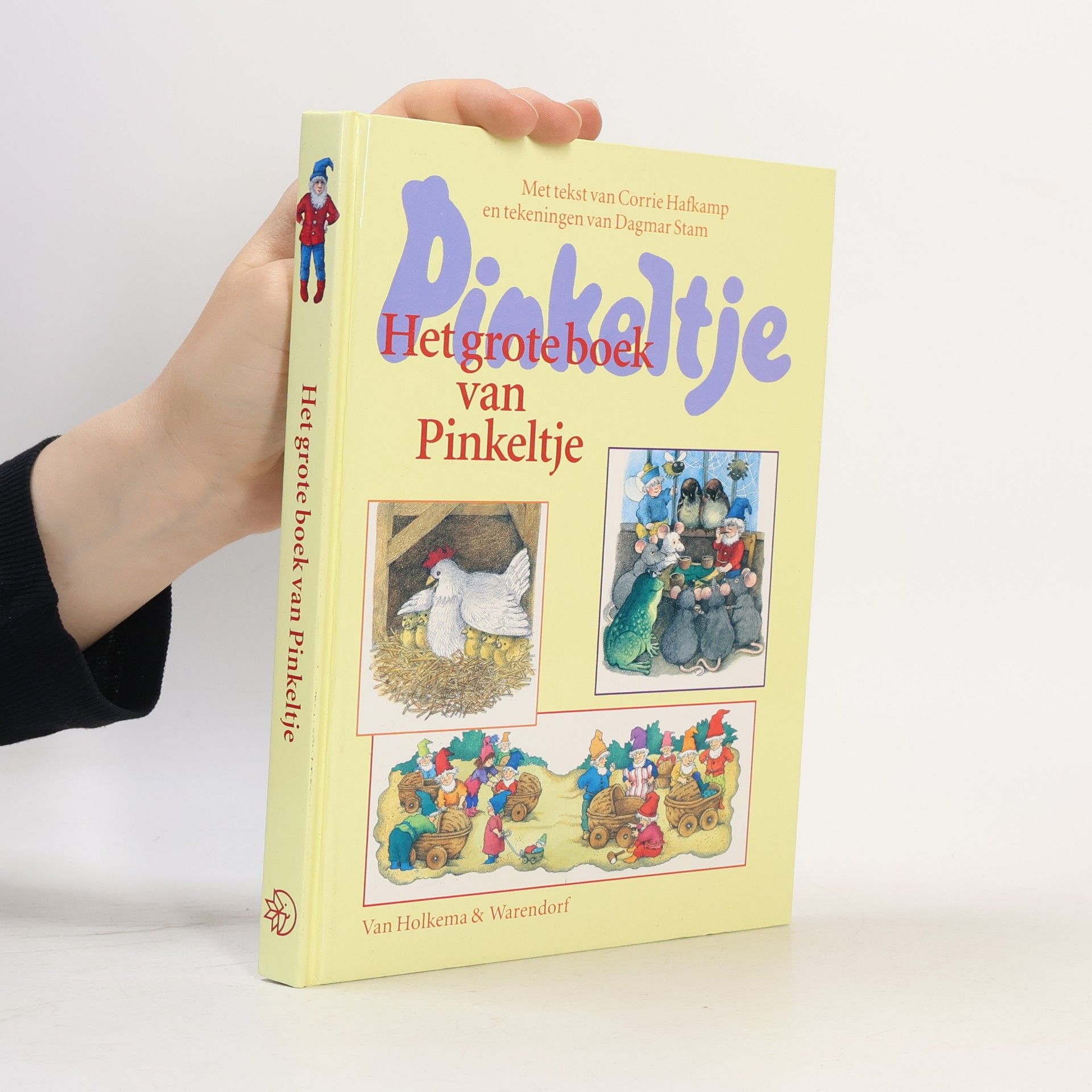 Dagmar Stam Het grote boek van Pinkeltje