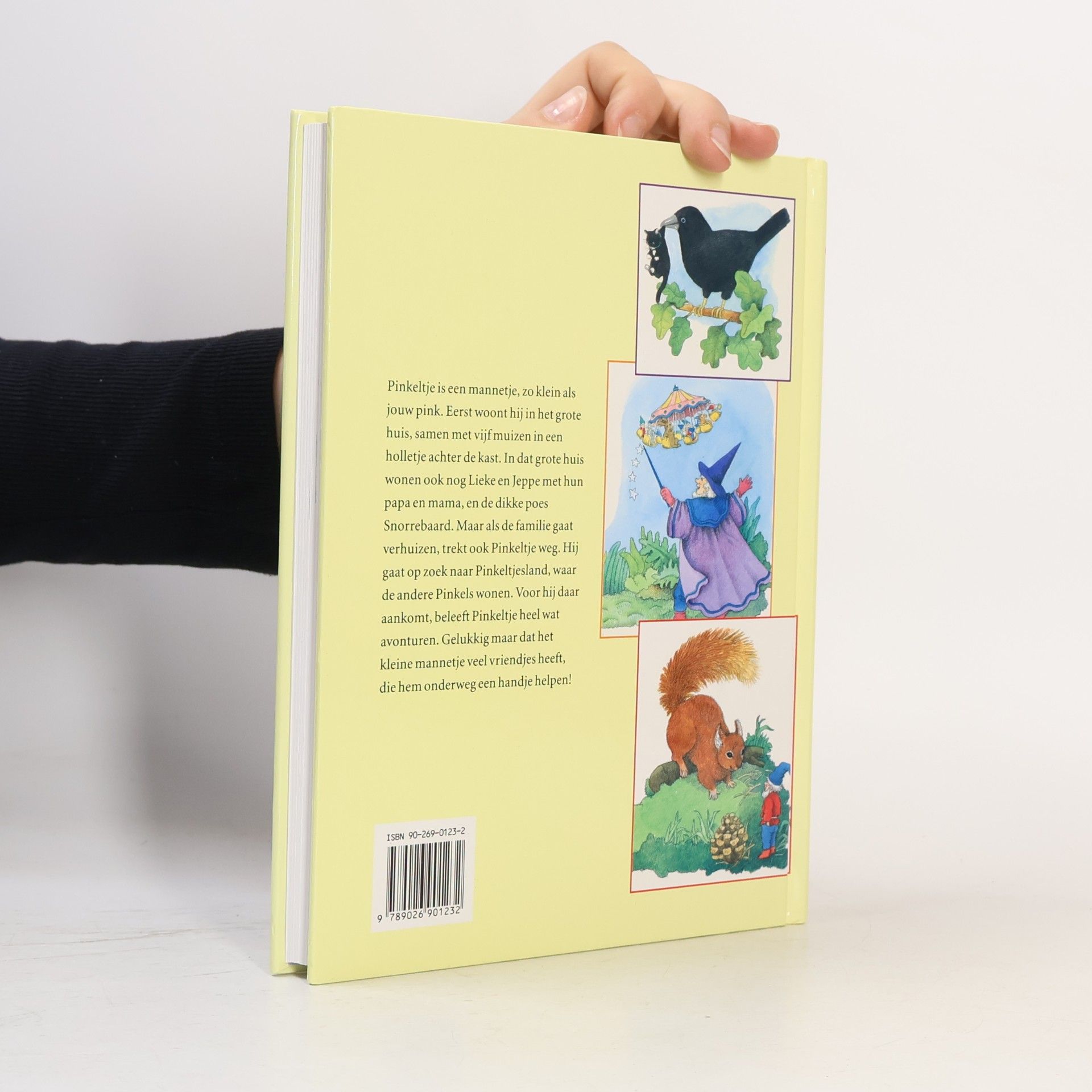 Corrie Hafkamp Het grote boek van Pinkeltje