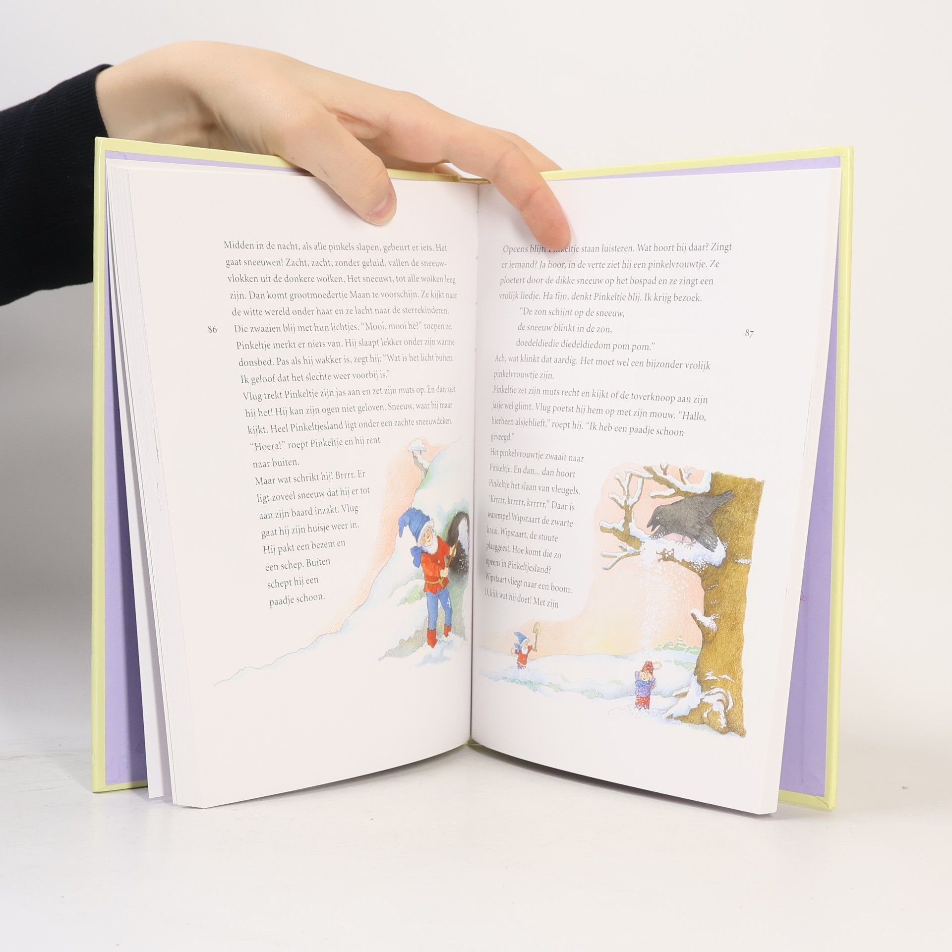 Corrie Hafkamp Het grote boek van Pinkeltje