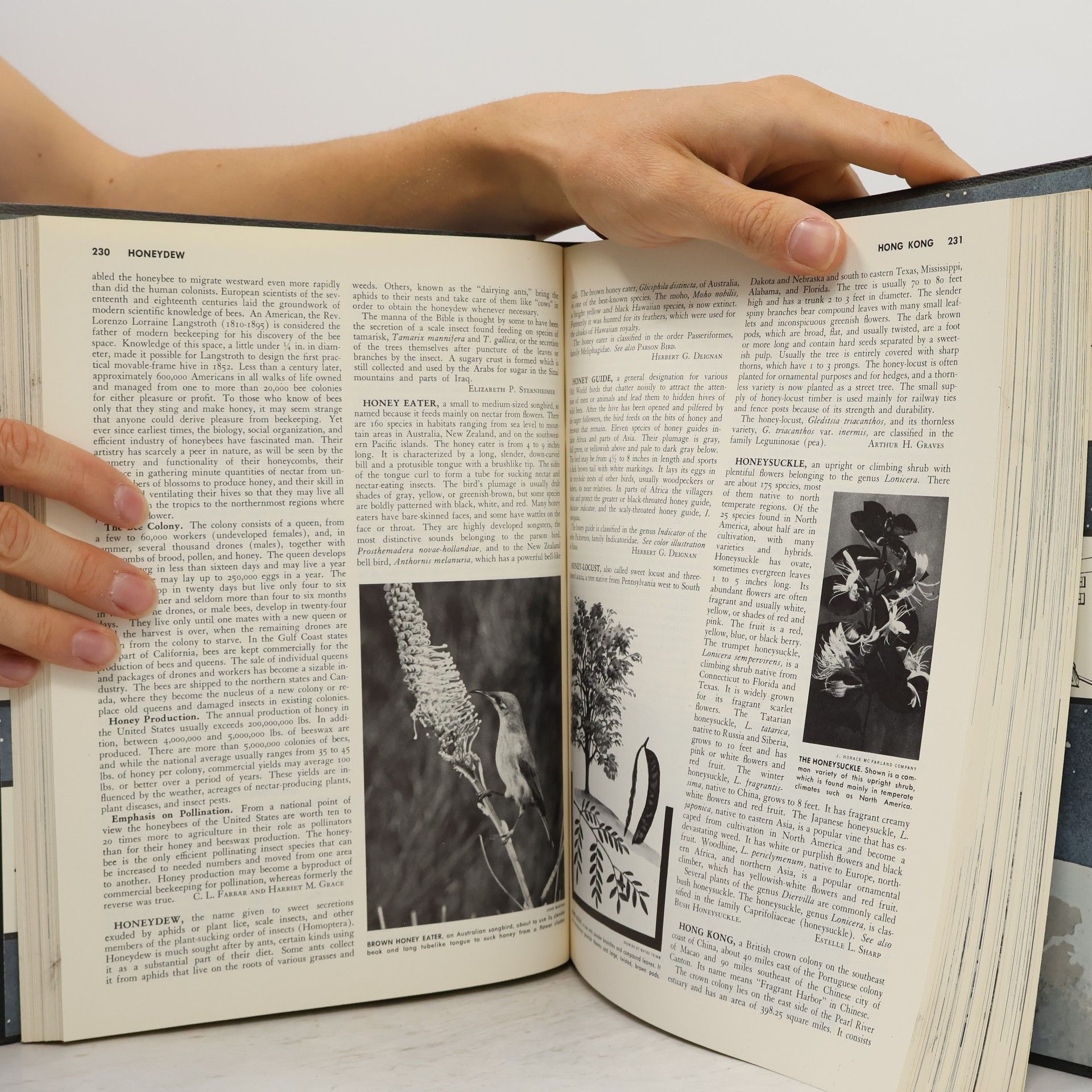 William D. Halsey Collier's Encyclopedia 12