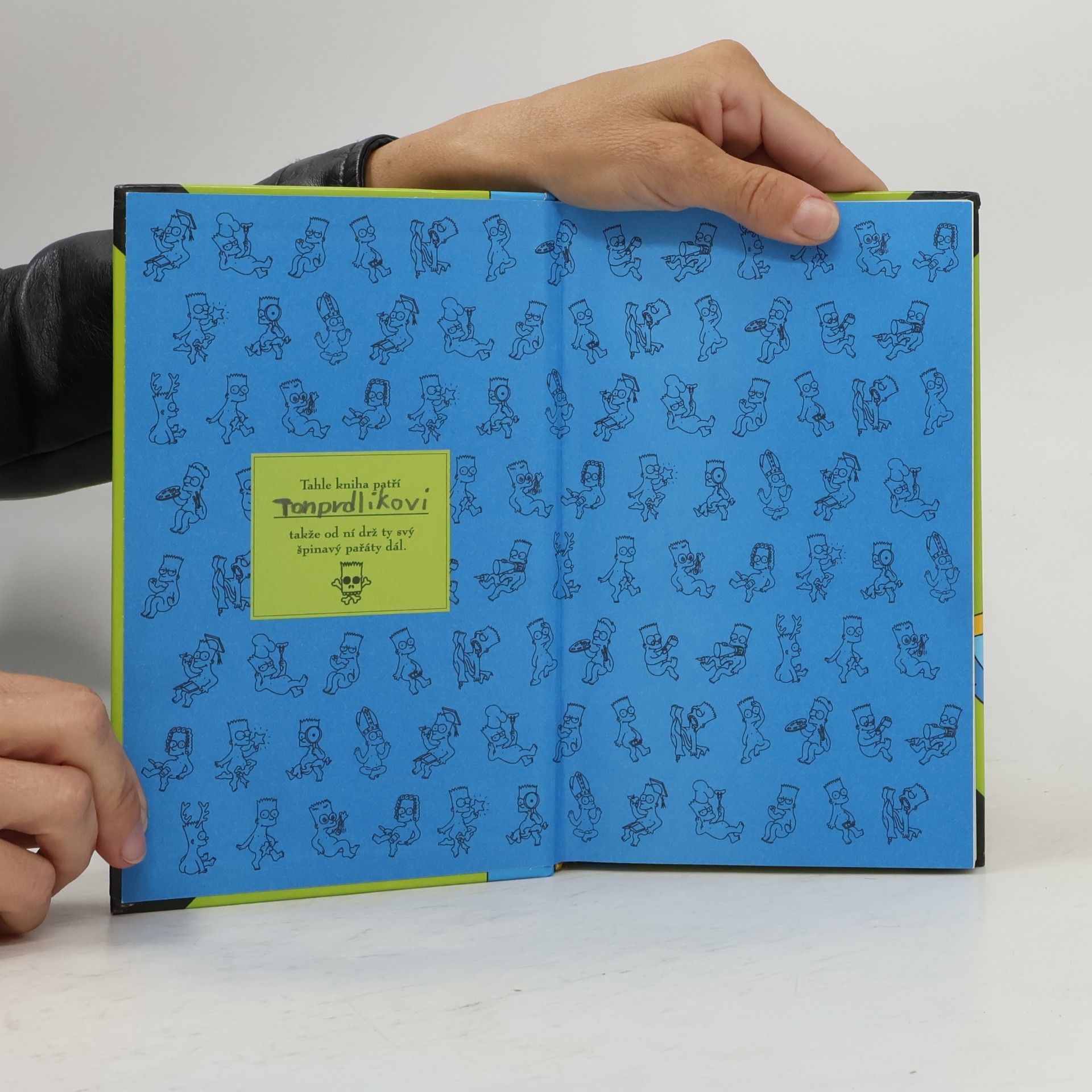 Matt Groening Bart Simpson: Průvodce životem