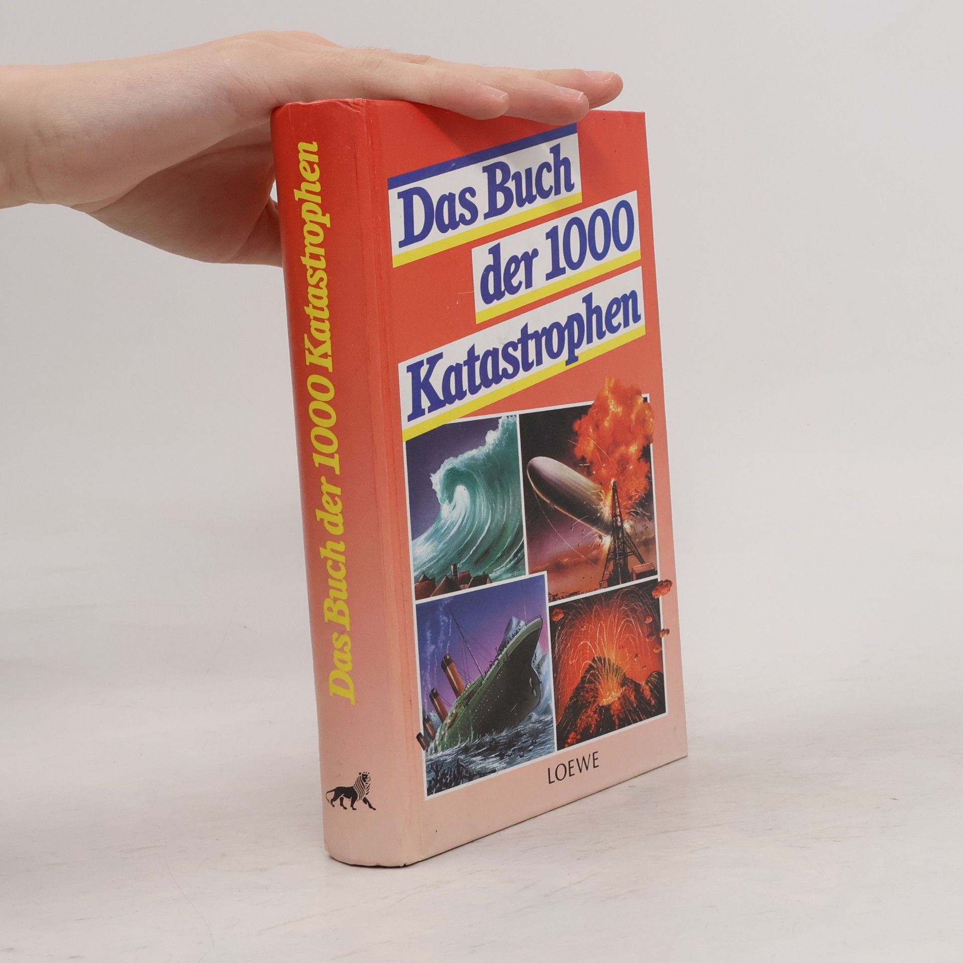 Kai Hövelmann Das Buch der 1000 Katastrophen