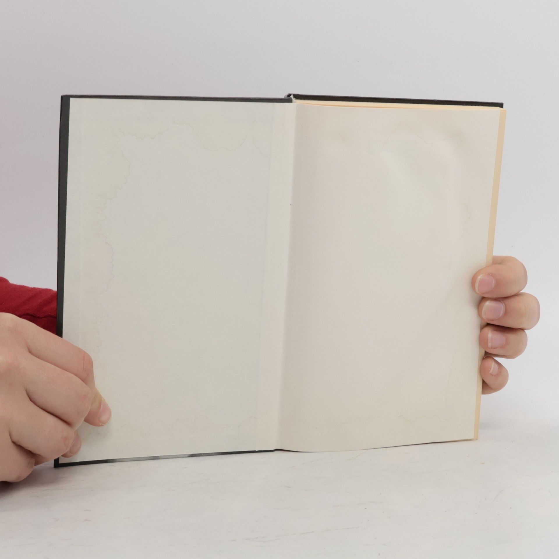 Ruth Rendell Dämon hinter Spitzenstores