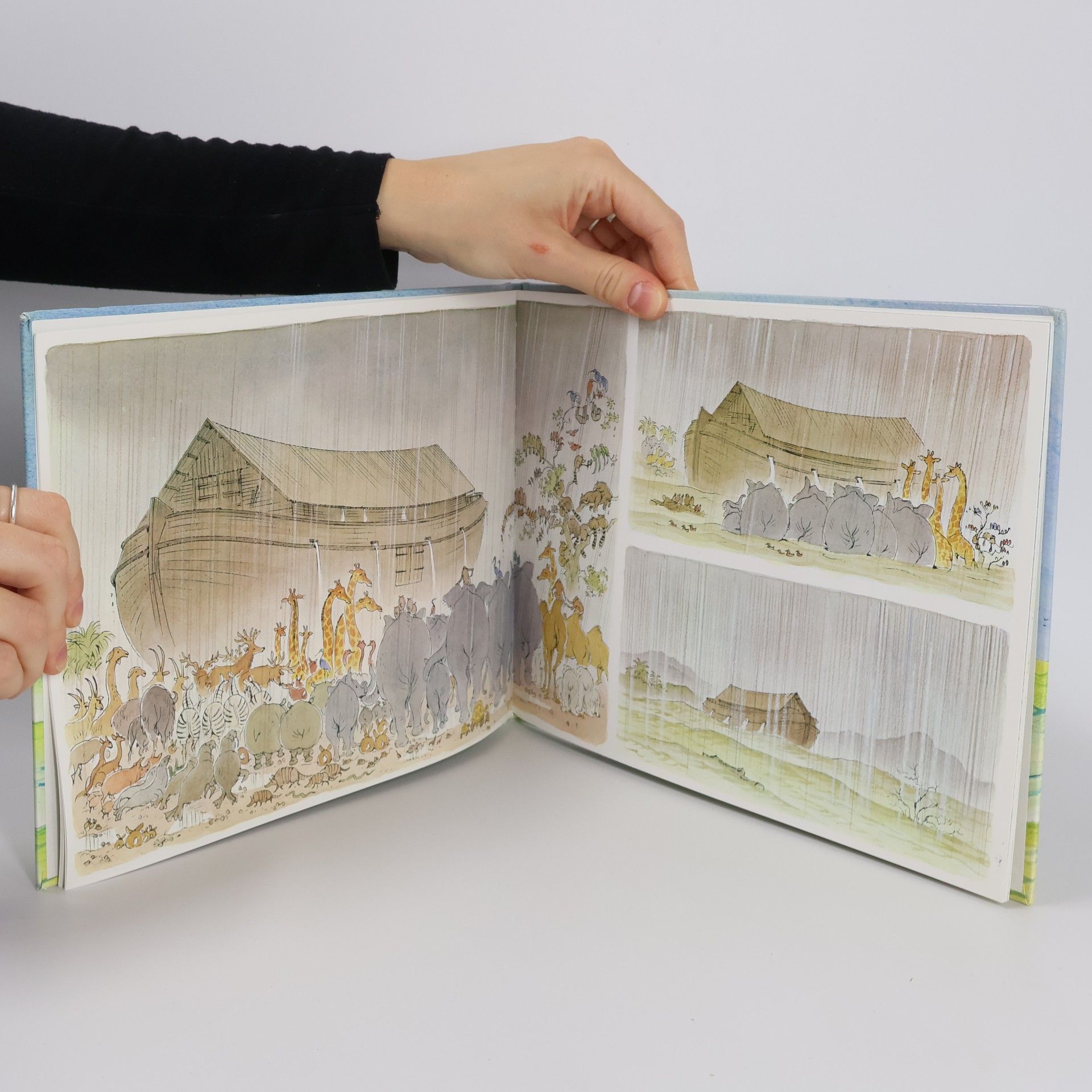Peter Spier Noahs Arche in Bildern