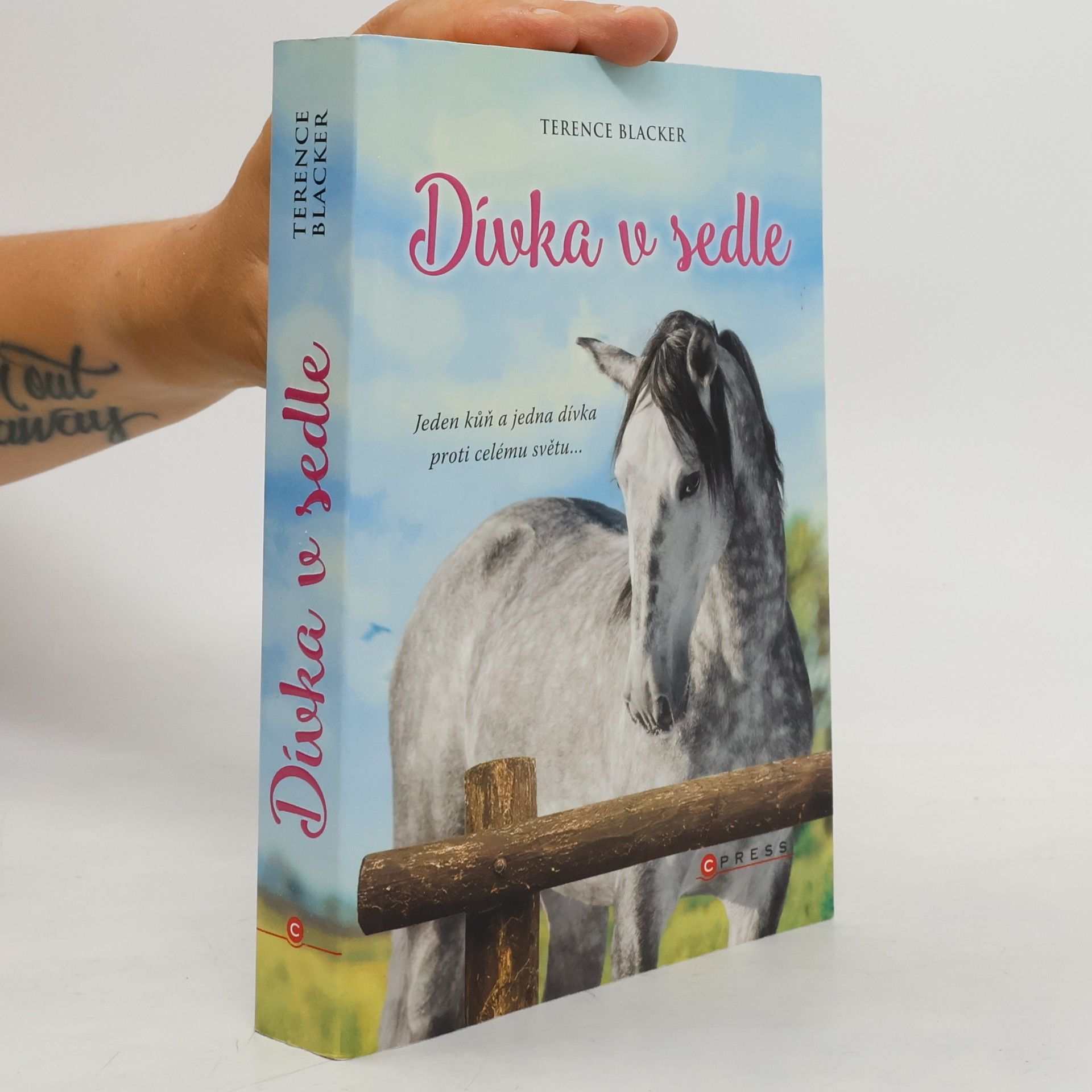 Terence Blacker Dívka v sedle