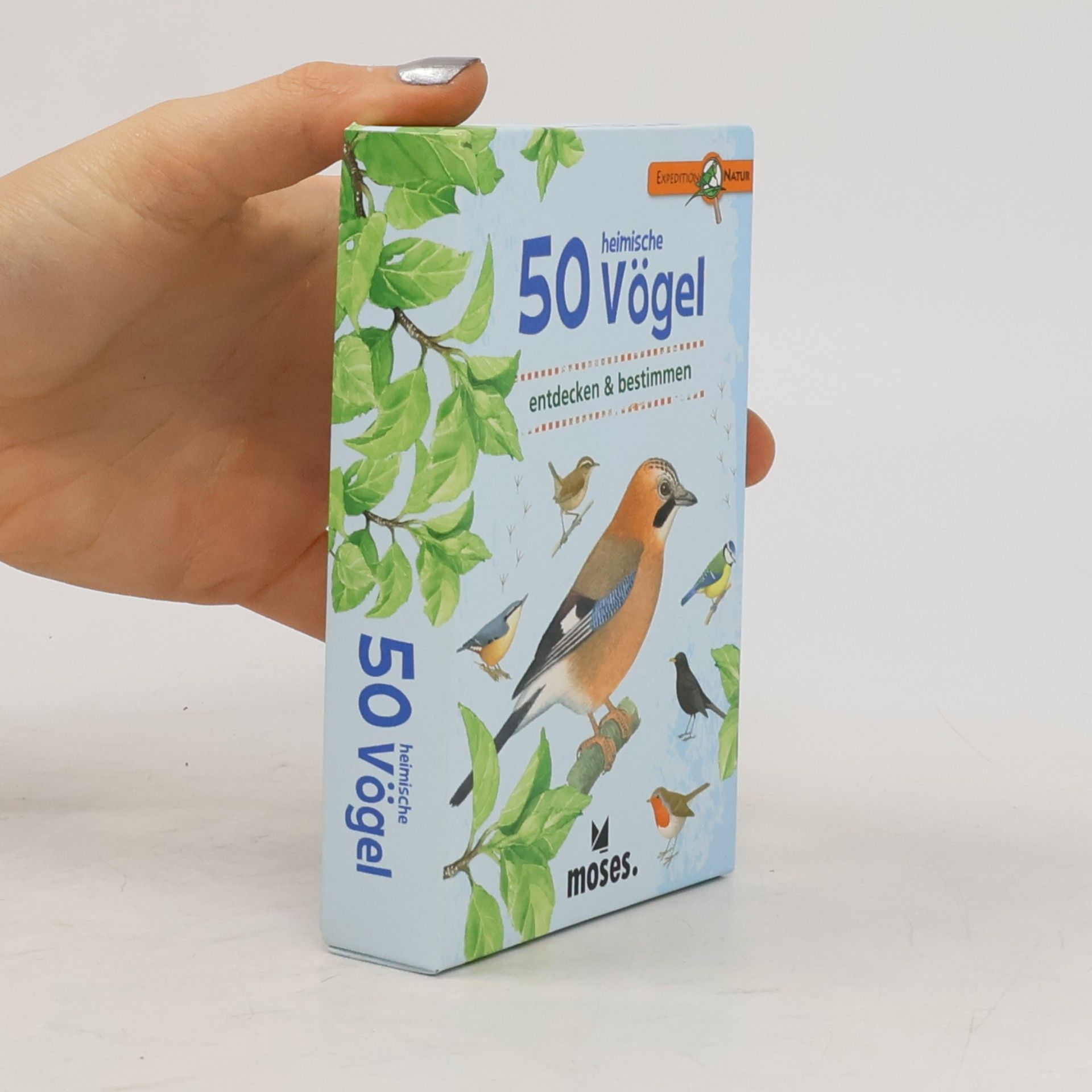Autorenkollektiv 50 Heimische Vögel