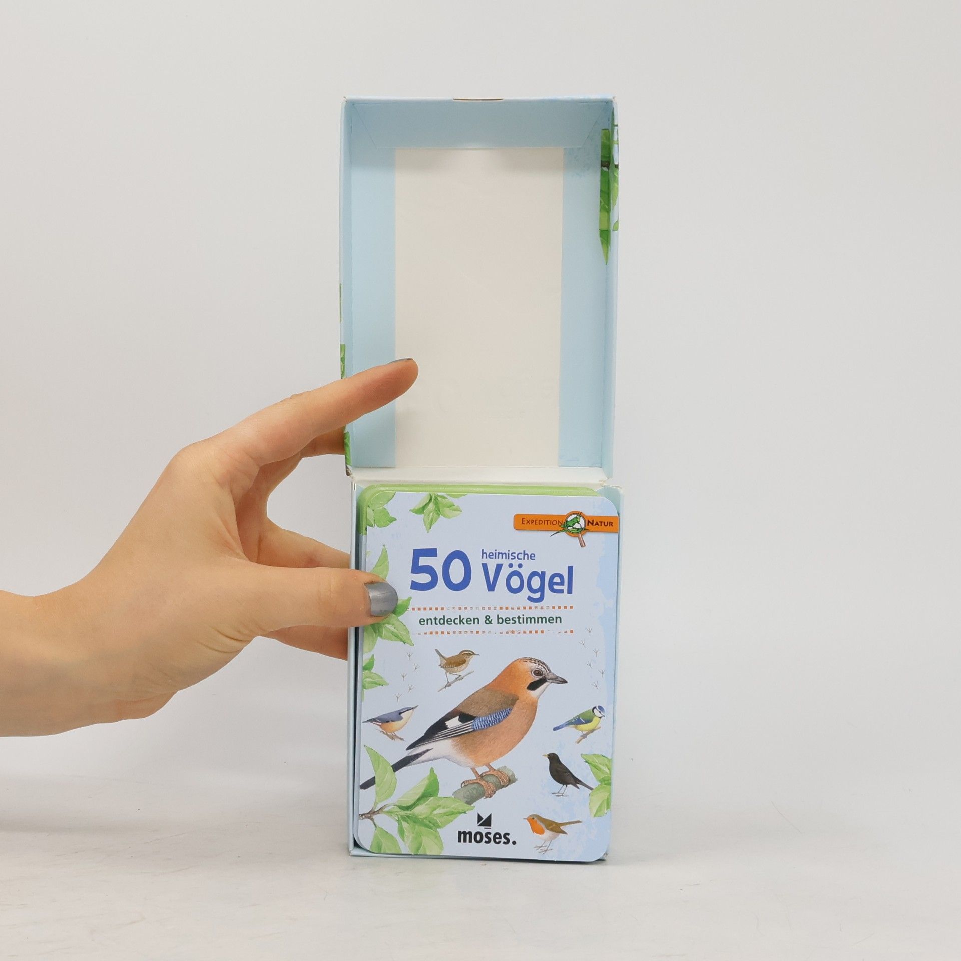 Autorenkollektiv 50 Heimische Vögel