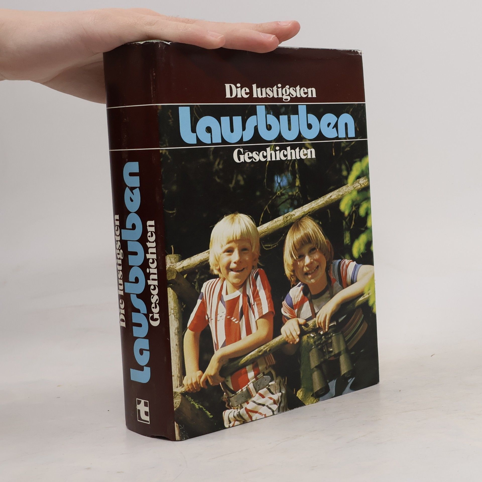 Kolektiv autorů Die lustigsten Lausbubengeschichten