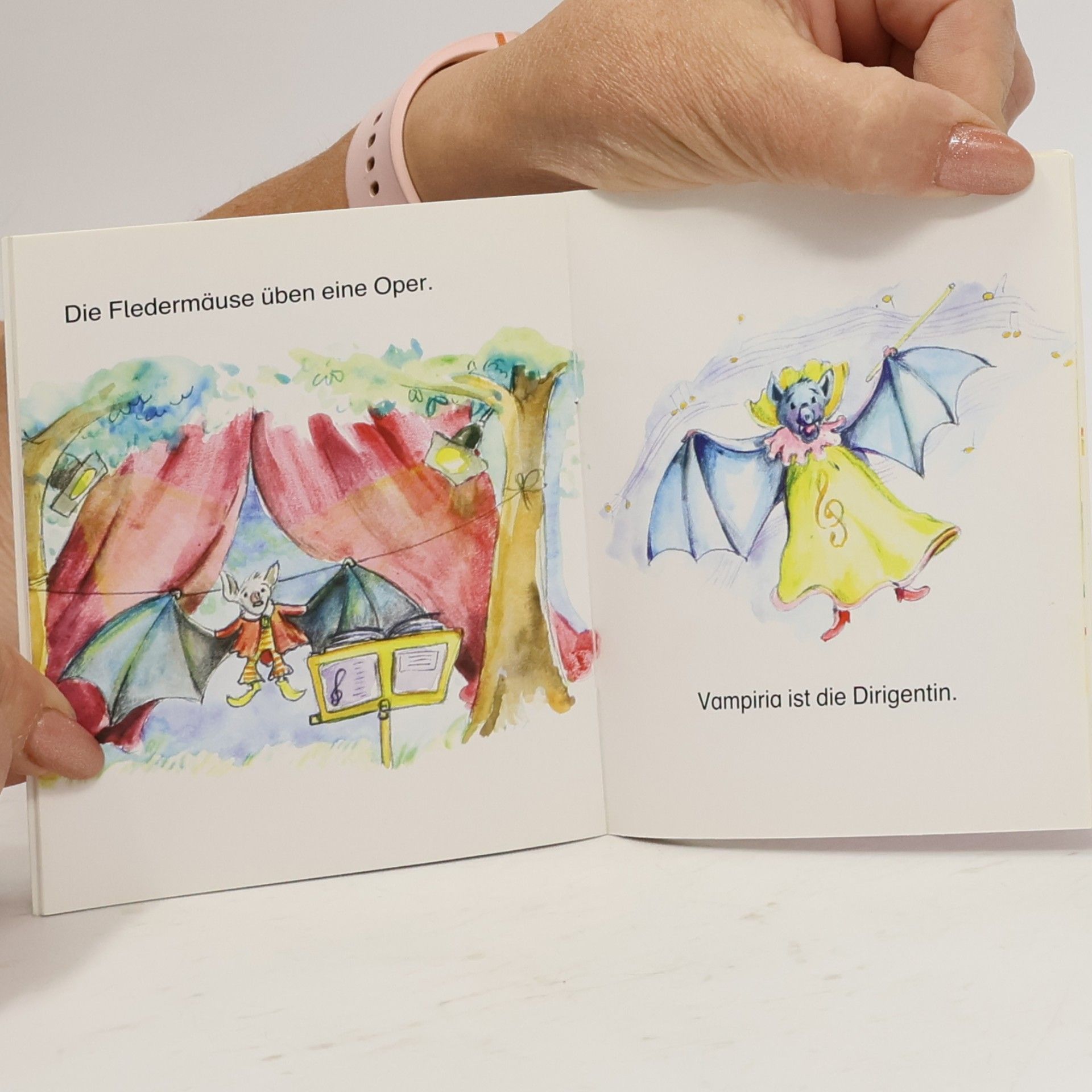 Collectif d'auteurs Das Sommerfest