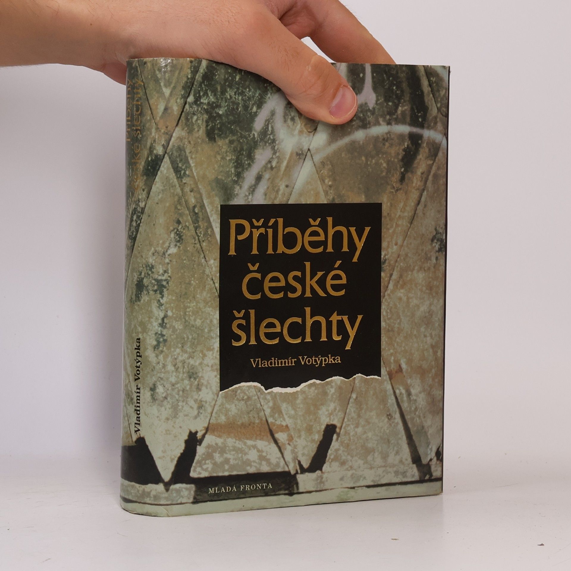 Vladimír Votýpka Příběhy české šlechty