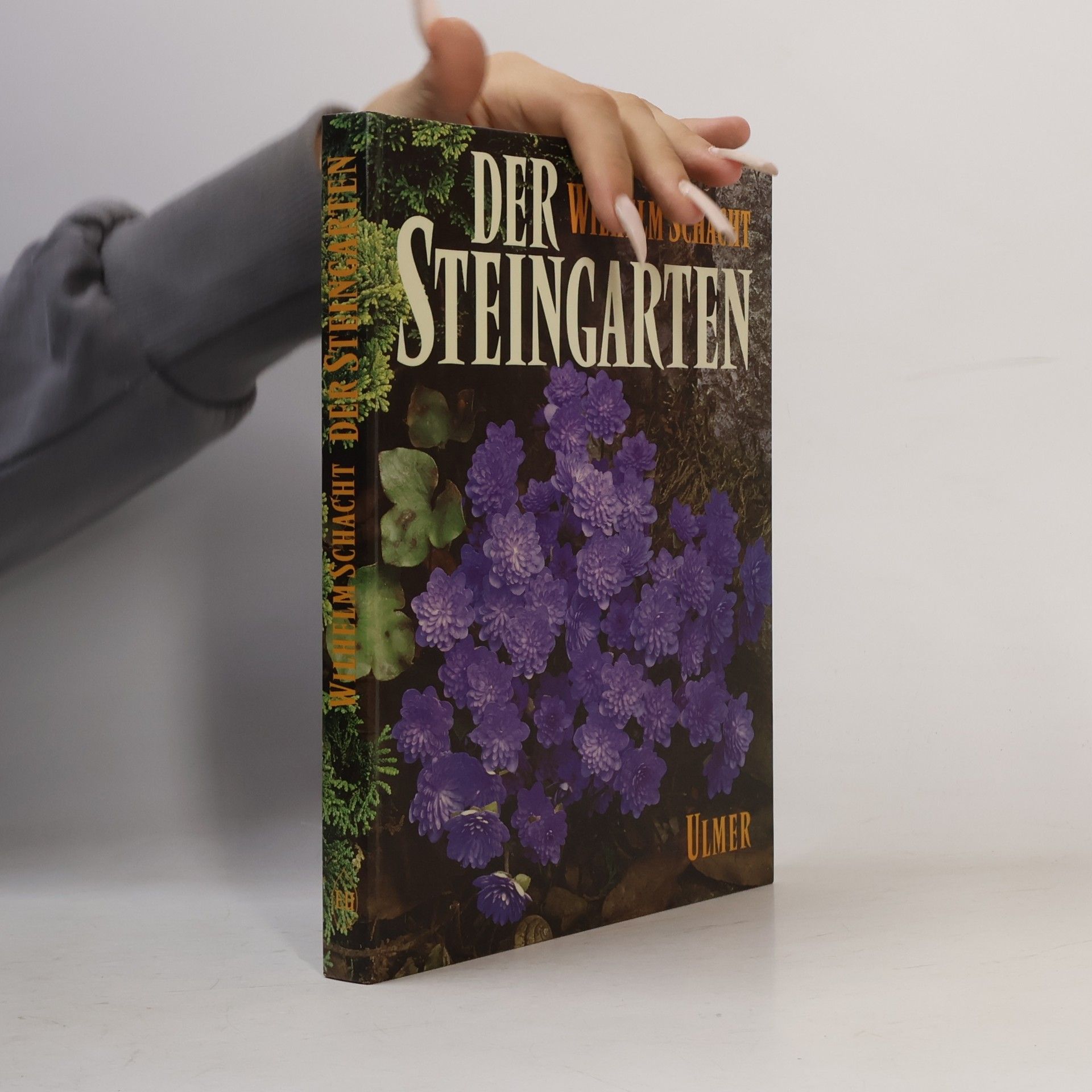 Wilhelm Schacht Der Steingarten