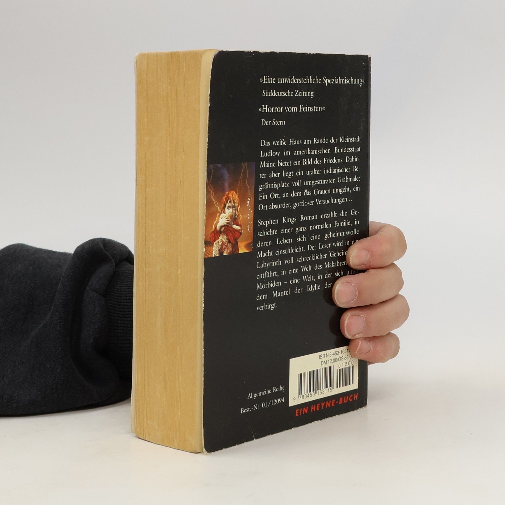 Stephen King Friedhof der Kuscheltiere