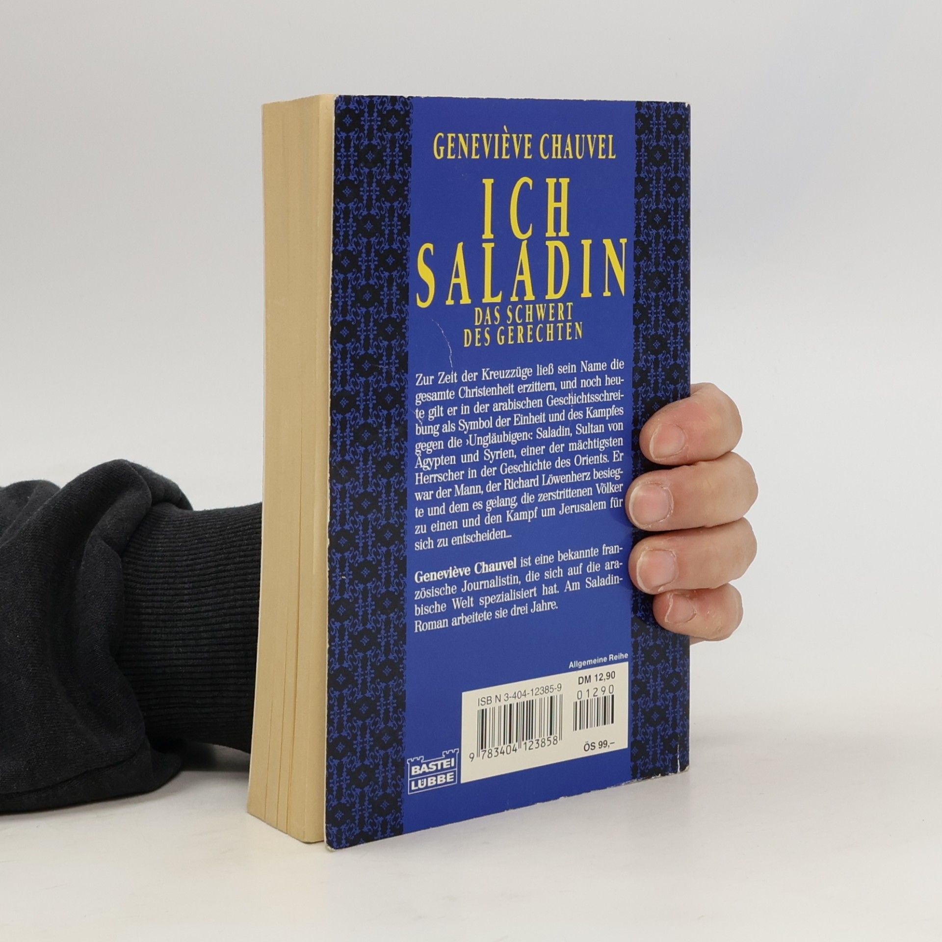 Geneviève Chauvel Ich, Saladin, das Schwert des Gerechten