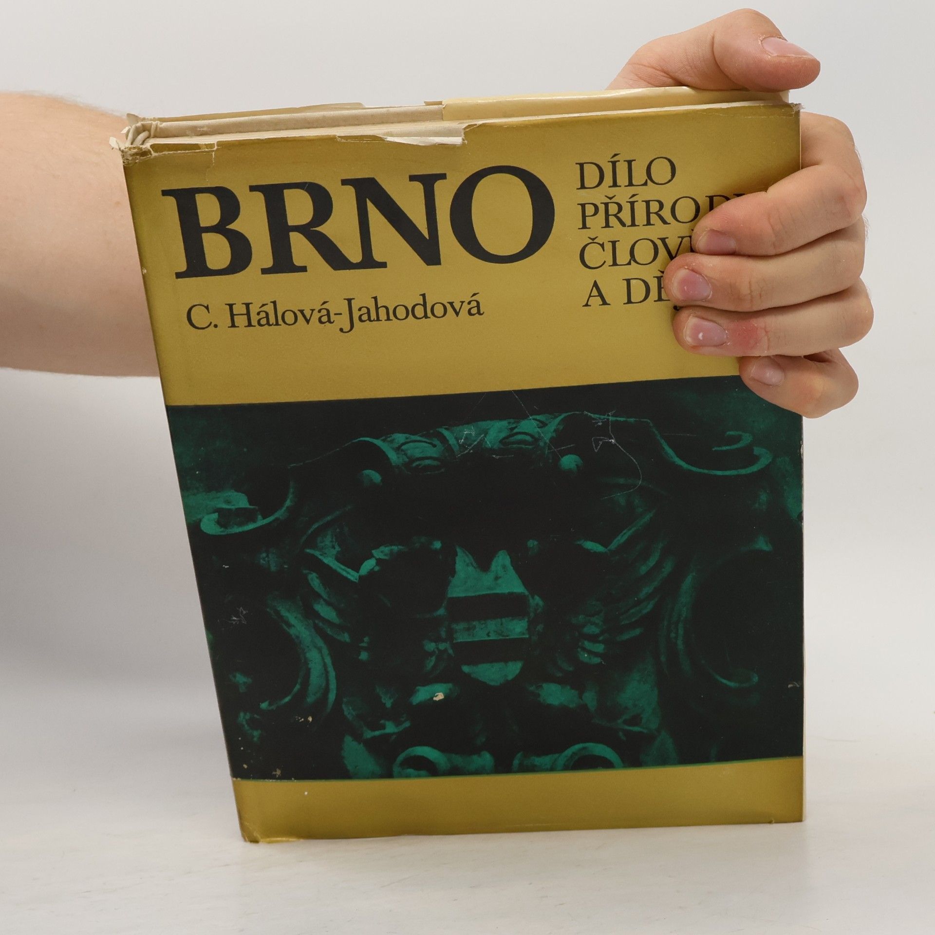 C. Hálová-Jahodová Brno. Dílo přírody, člověka a dějin