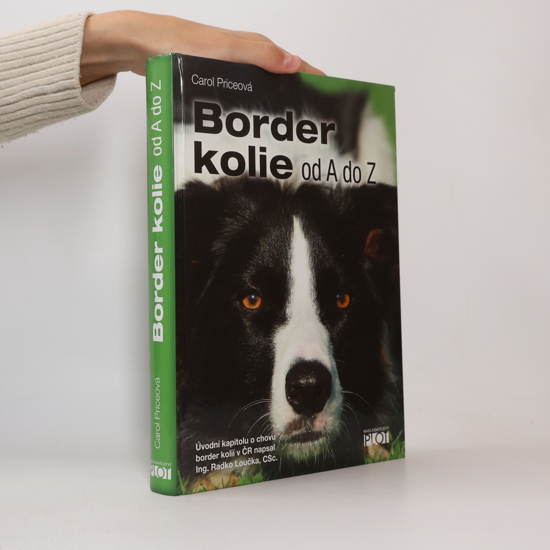Carol Price Border kolie od A do Z