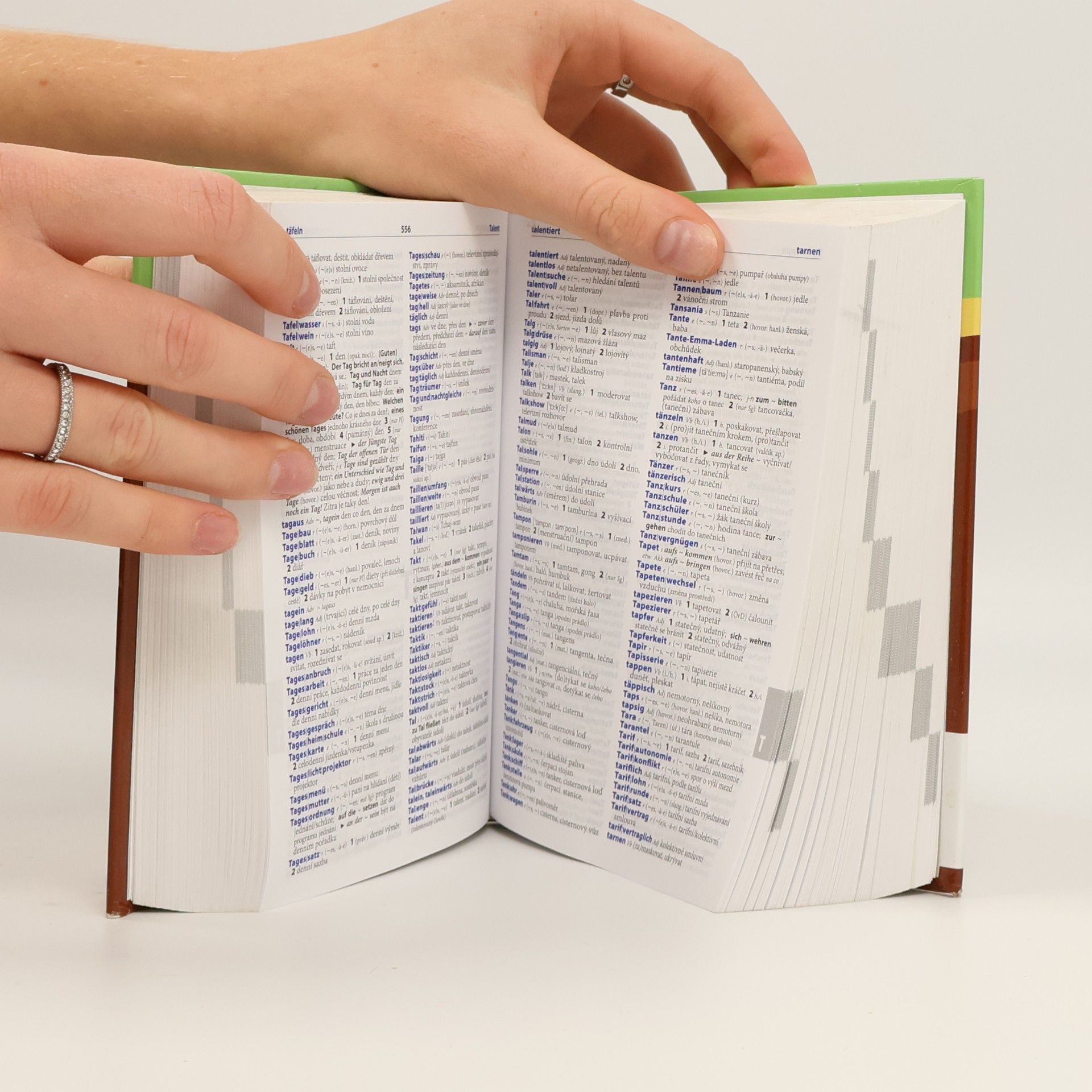 Various authors Německo-český, česko-německý praktický slovník