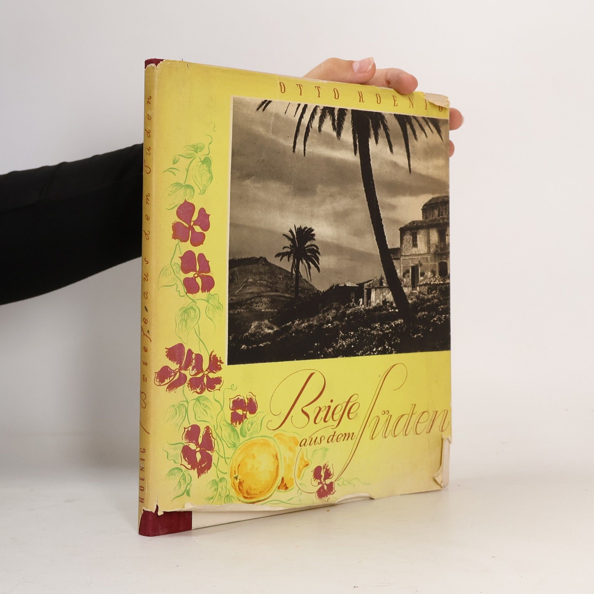Lilli Koenig Briefe aus dem Süden