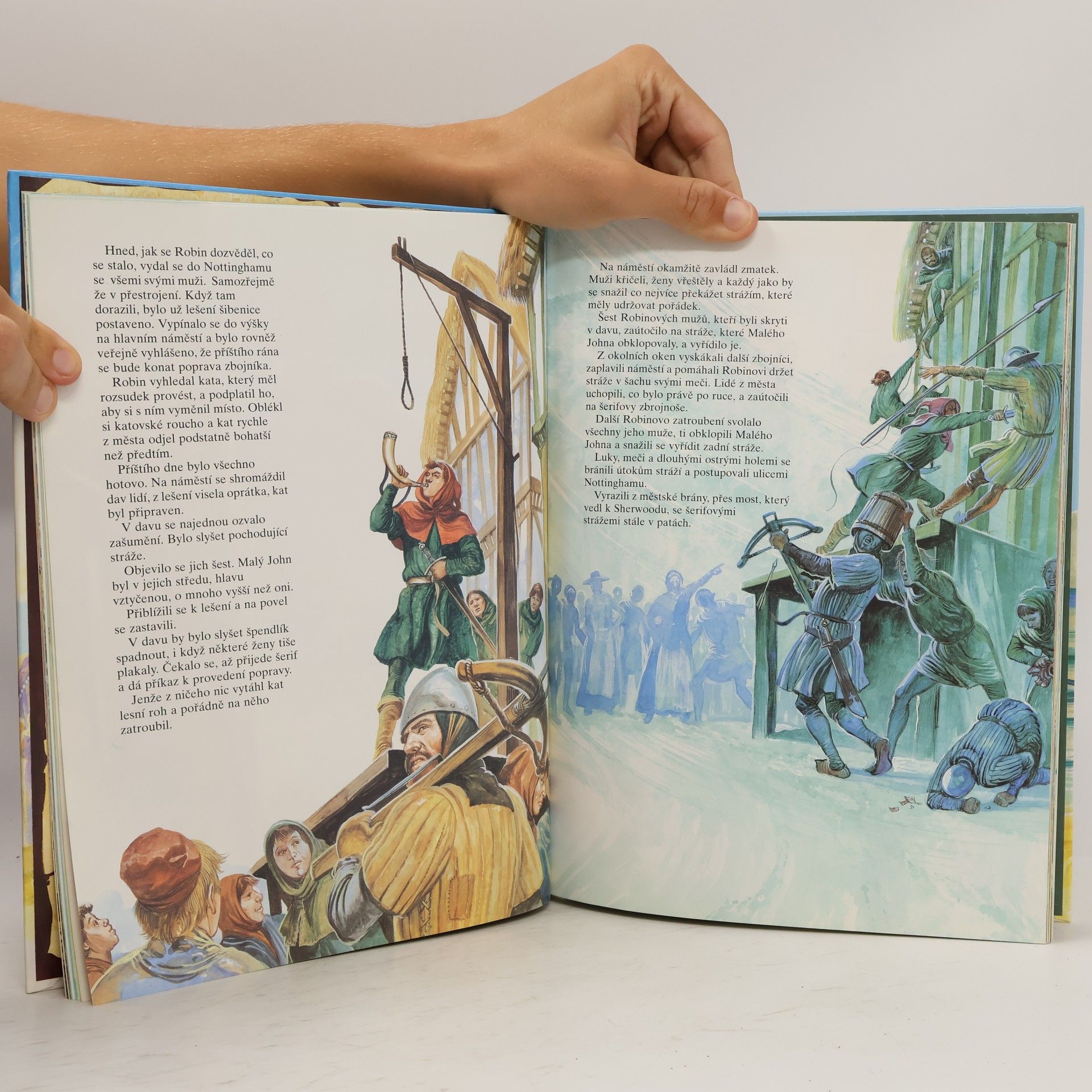 Michael Bishop Robin Hood