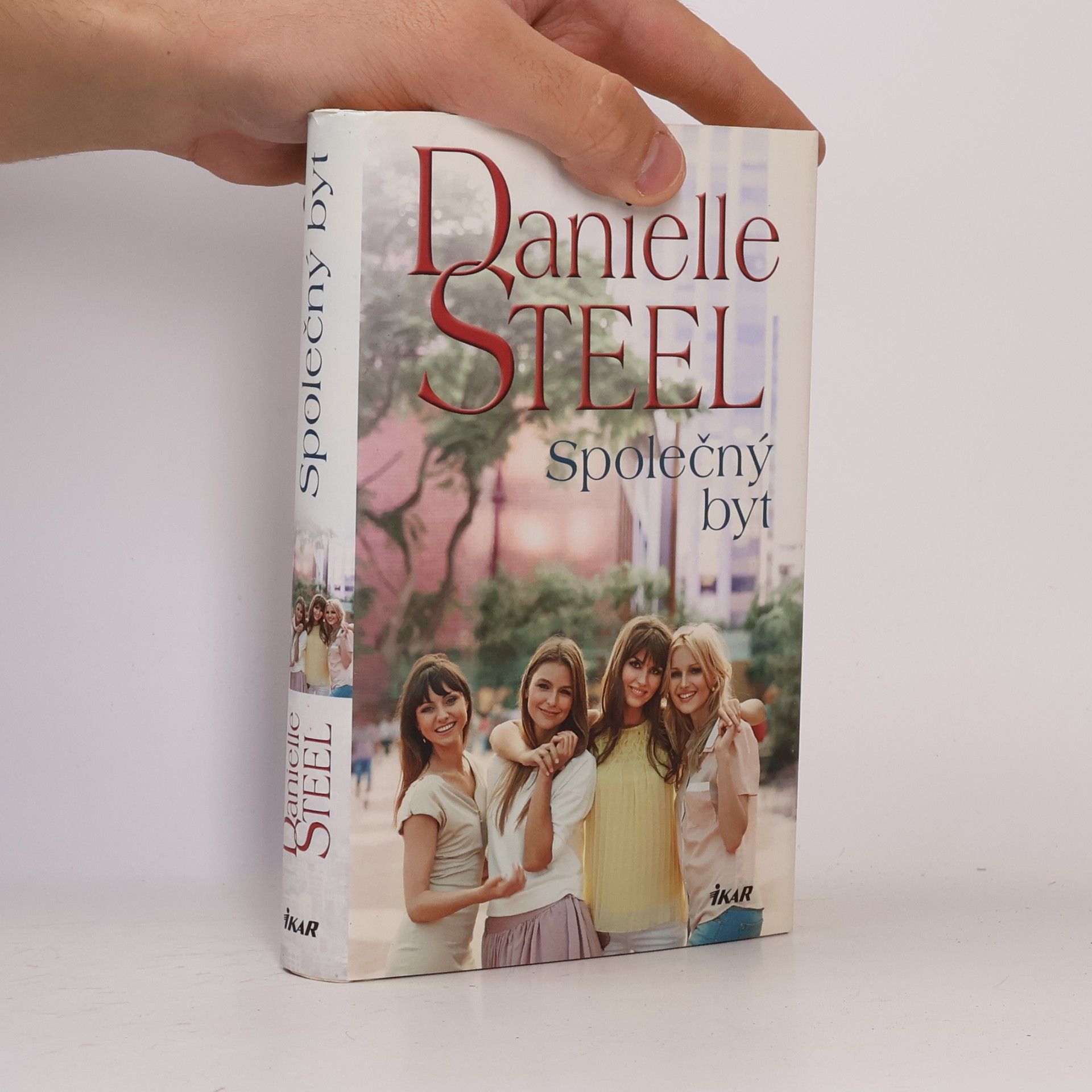 Danielle Steel Společný byt