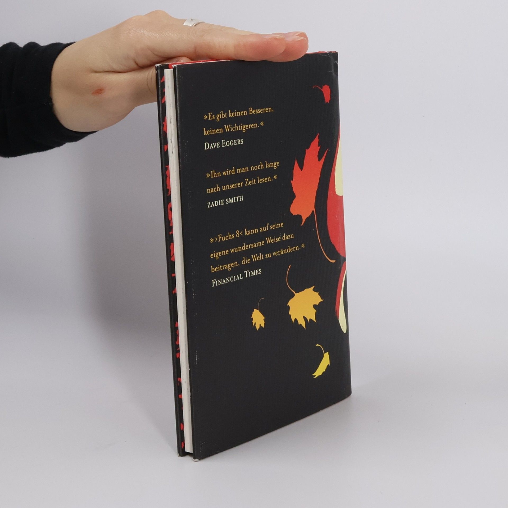 George Saunders Fuchs 8