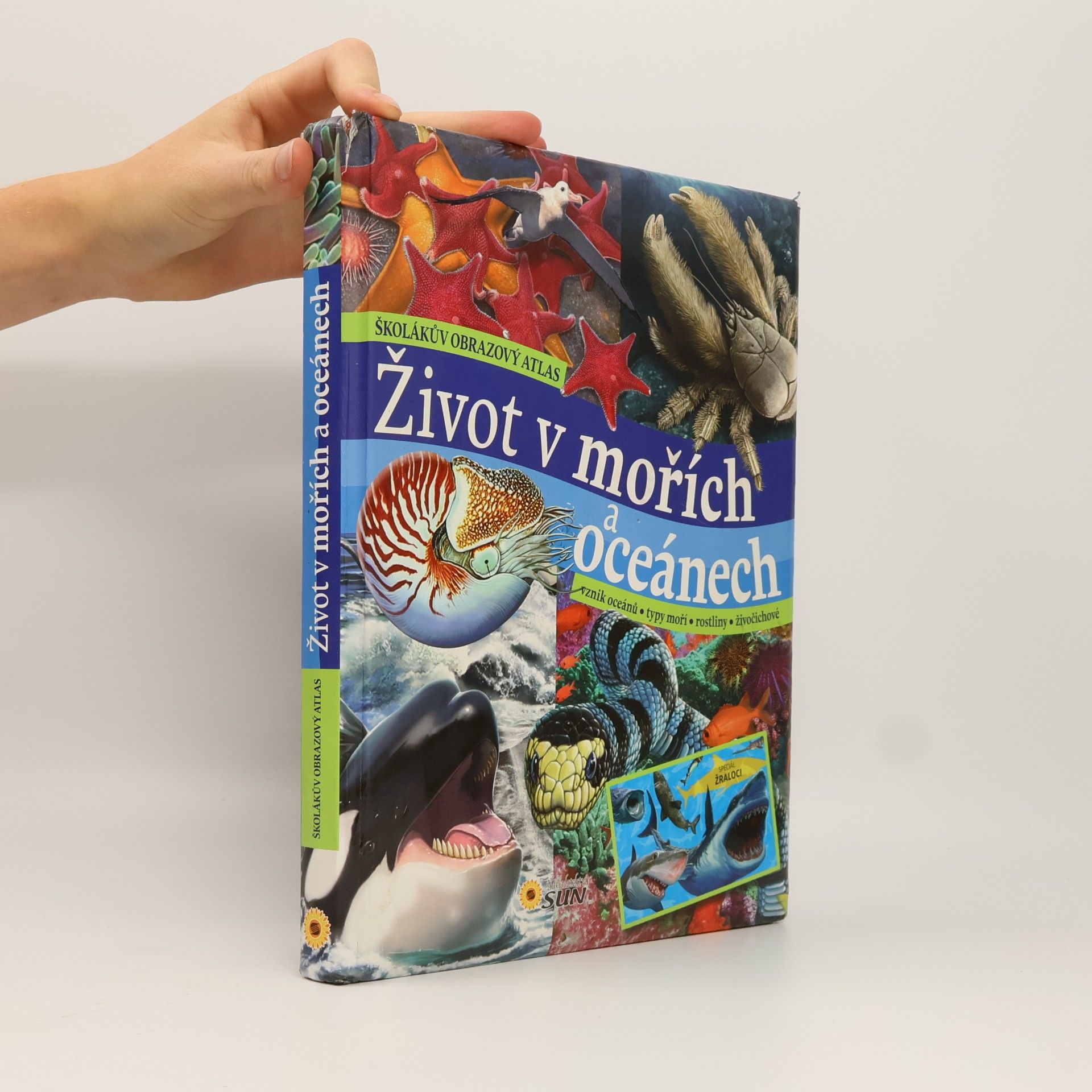 Carmen Rodríguez Život v mořích a oceánech