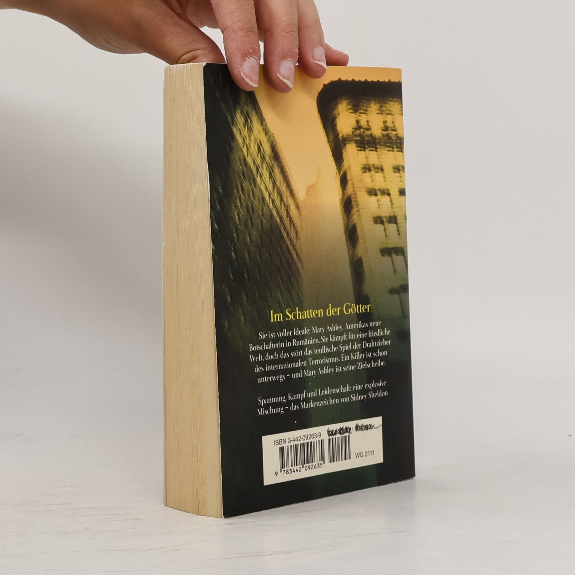 Sidney Sheldon Im Schatten der Götter