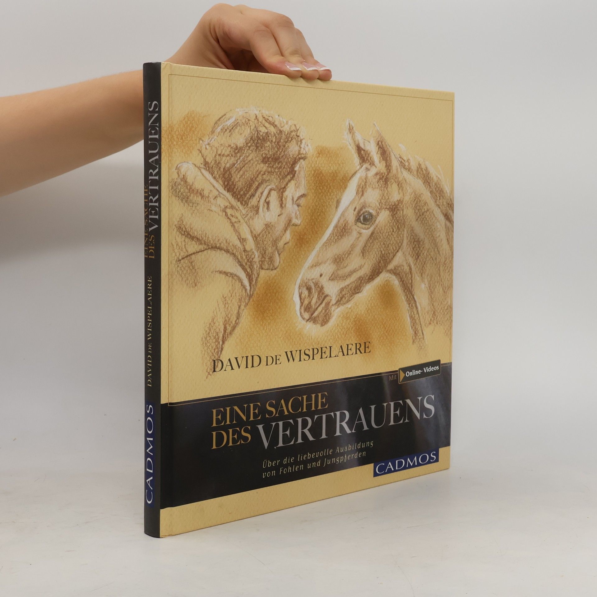 David De Wispelaere Eine Sache des Vertrauens