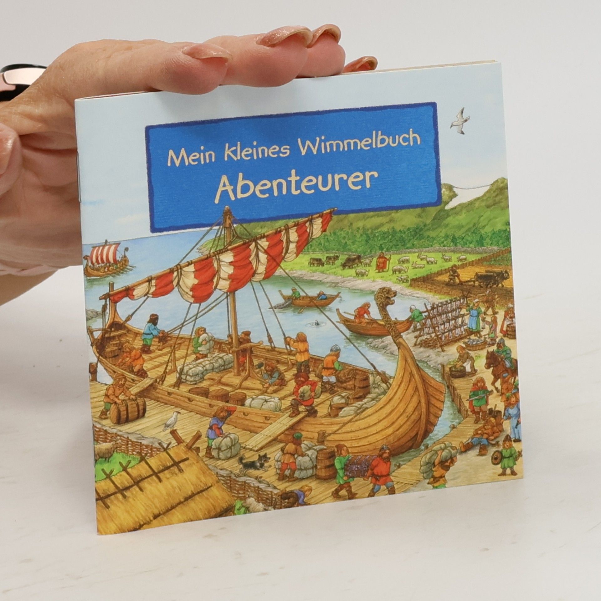 Various authors Mein Kleines Wimmelbuch Abenteurer
