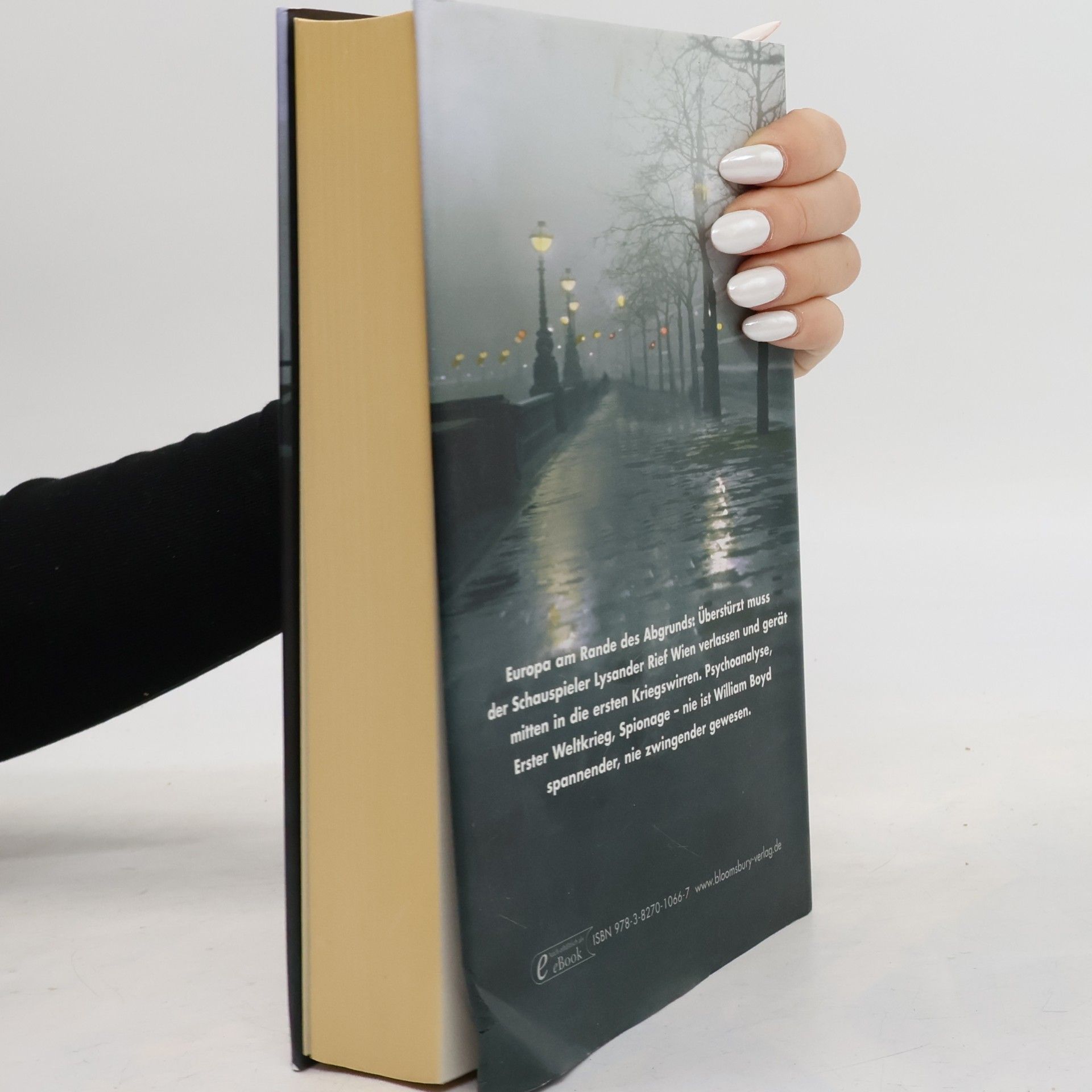 William Boyd Eine Grosse zeit