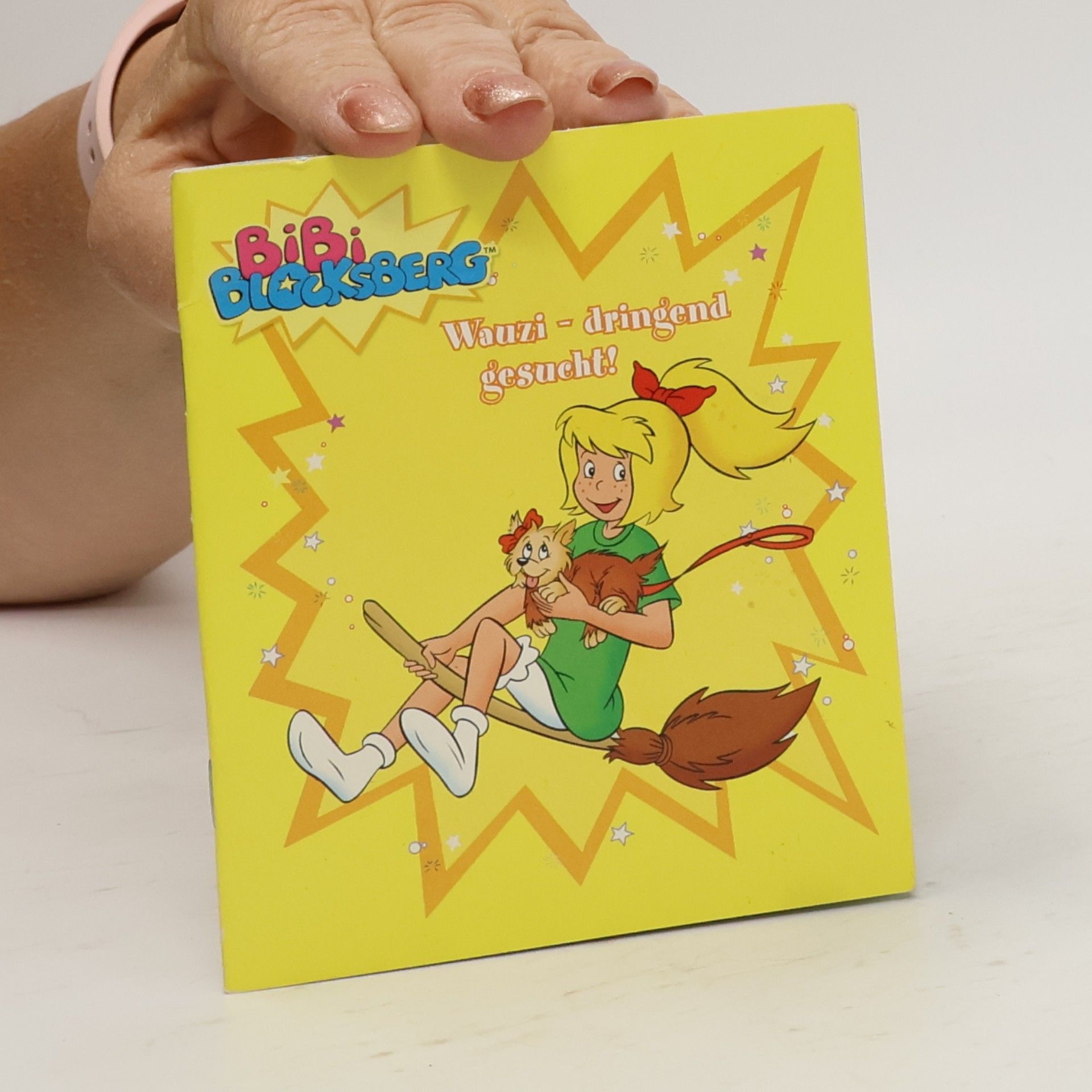 Autorenkollektiv Bibi Blocksberg. Wanzi - dringend gesucht!
