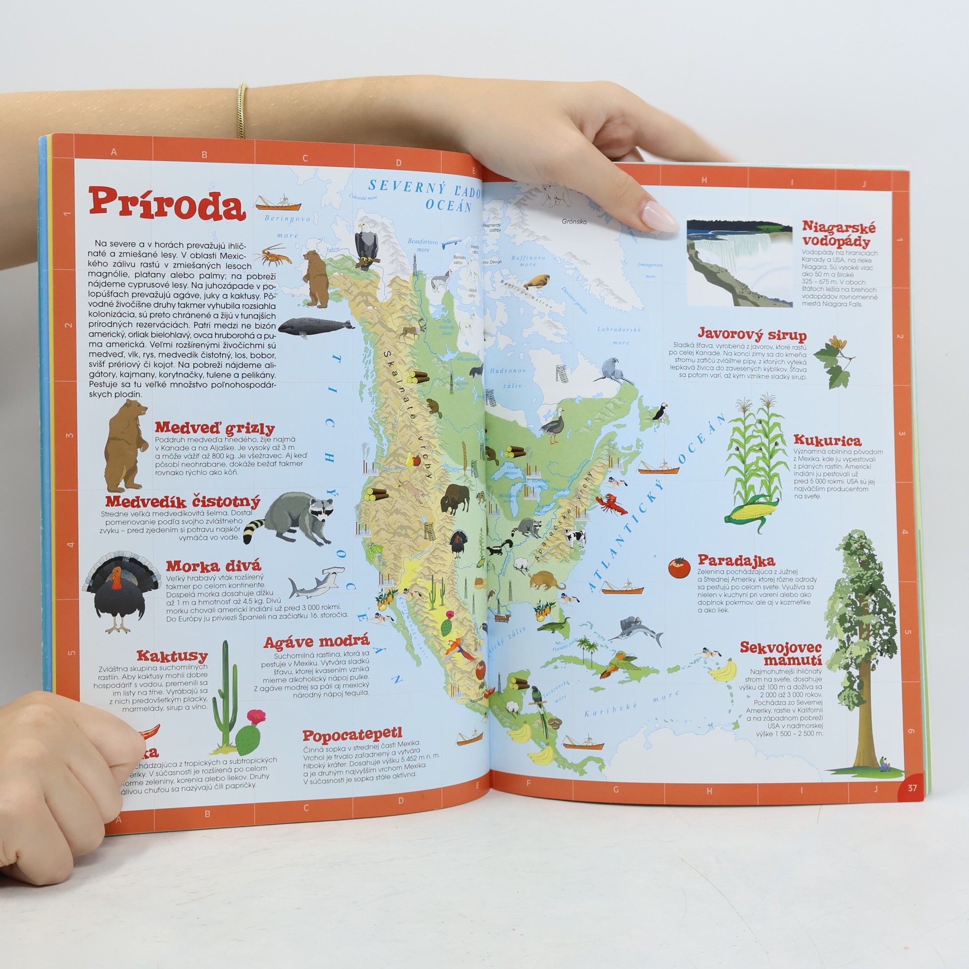 Jaroslav Synek Môj prvý atlas : samolepky, rozkladacie hry