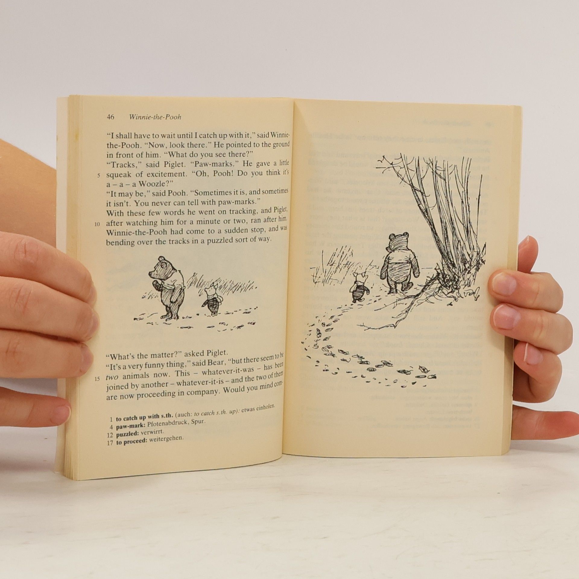 Alan Alexander Milne Winnie-the-Pooh